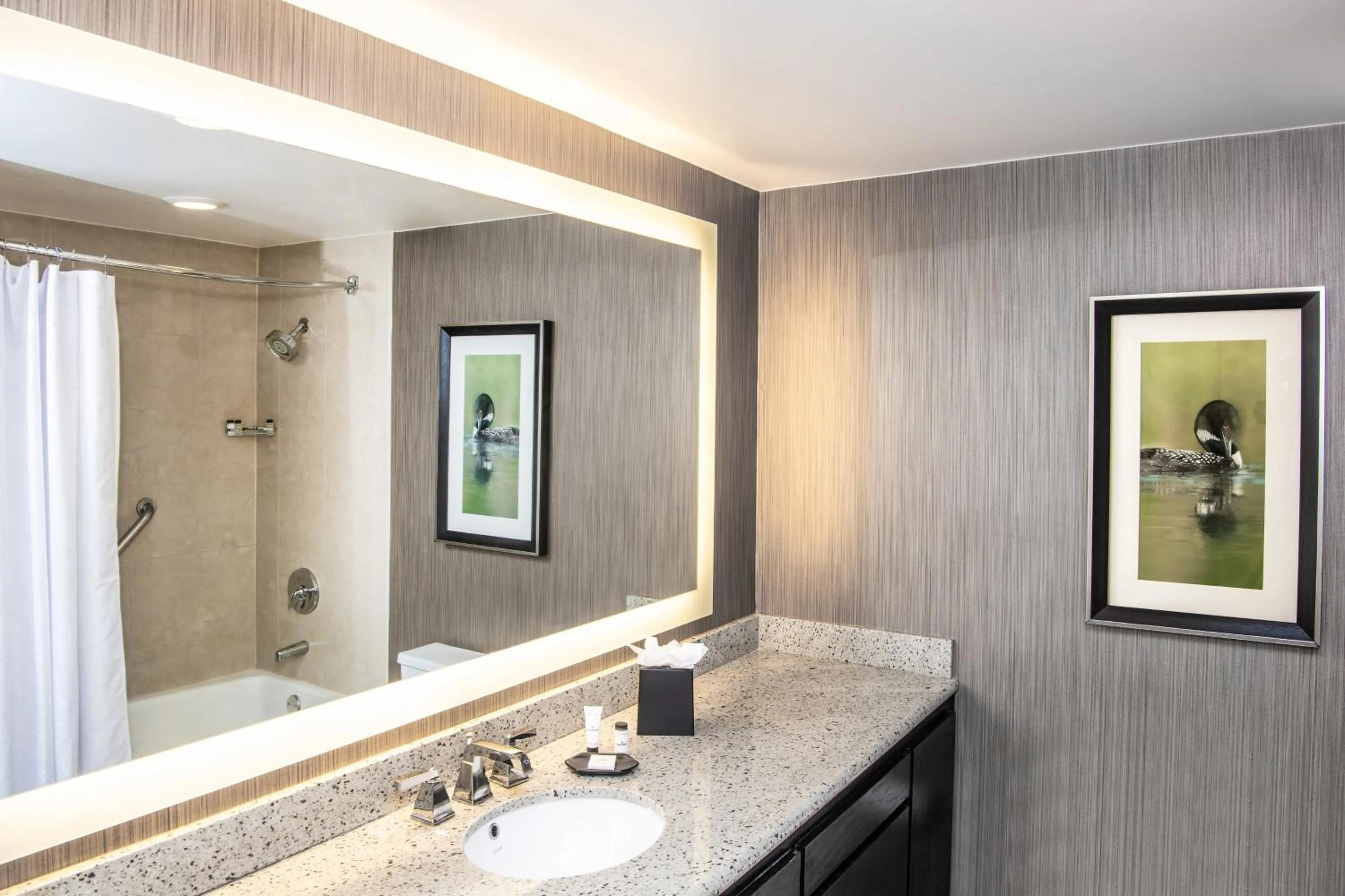 Bathroom in Sheraton Minneapolis West Hotel