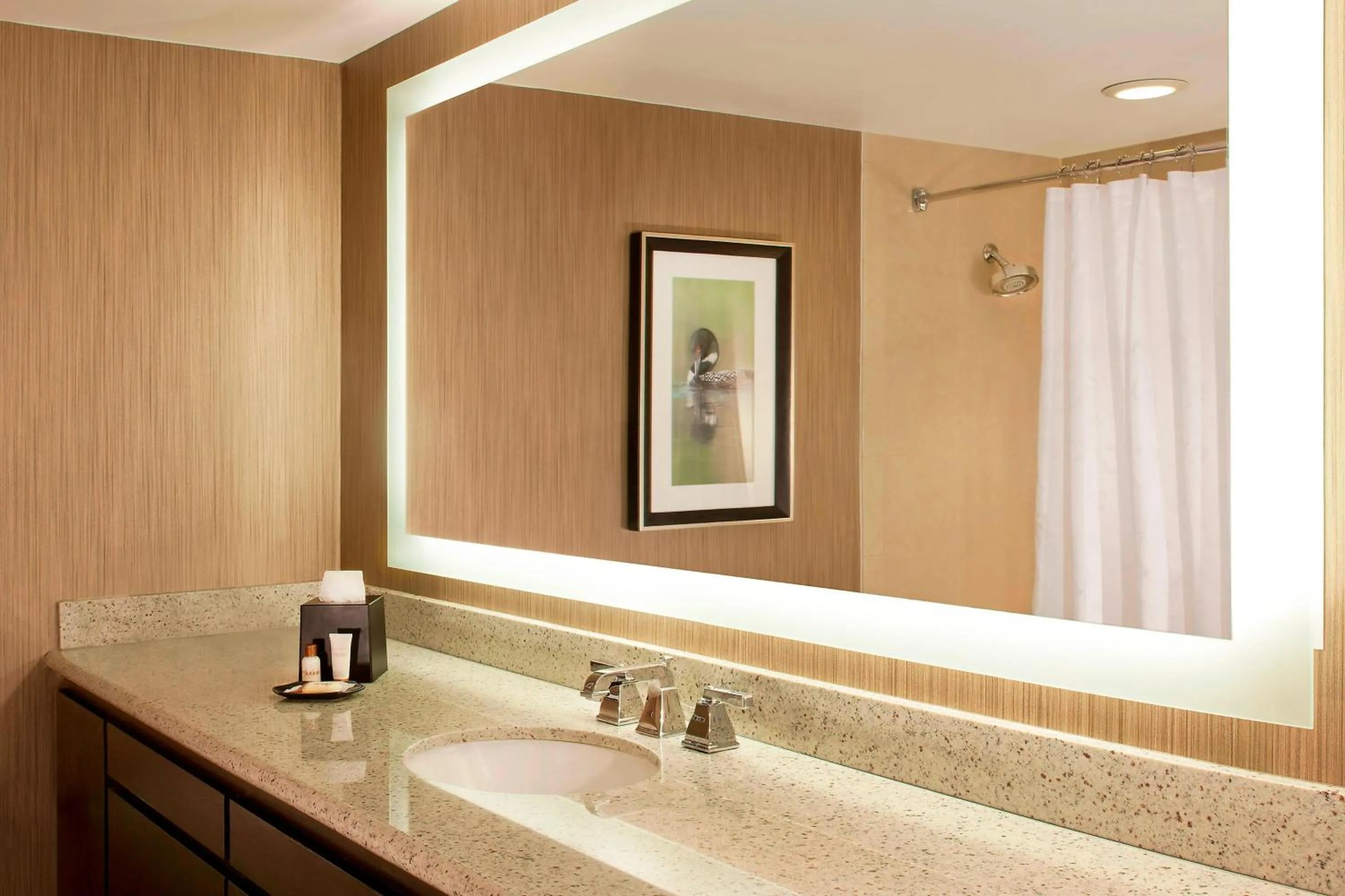 Bathroom in Sheraton Minneapolis West Hotel