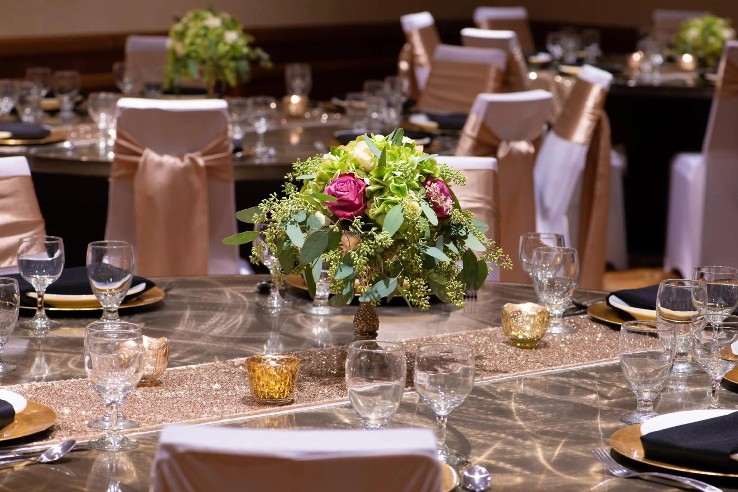 Banquet/Function facilities in Sheraton Minneapolis West Hotel