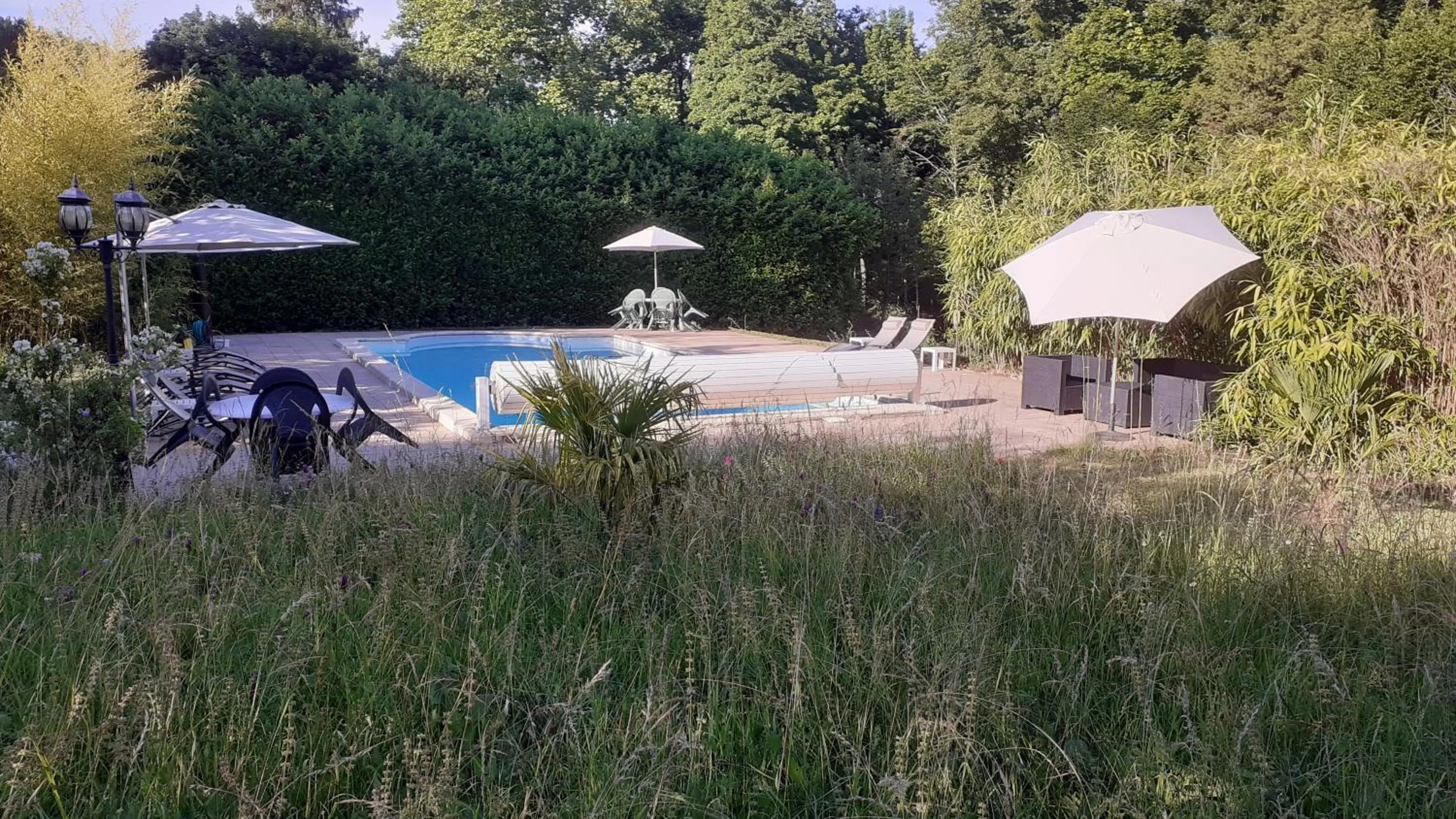 Pool view in Le Chateau de Prauthoy