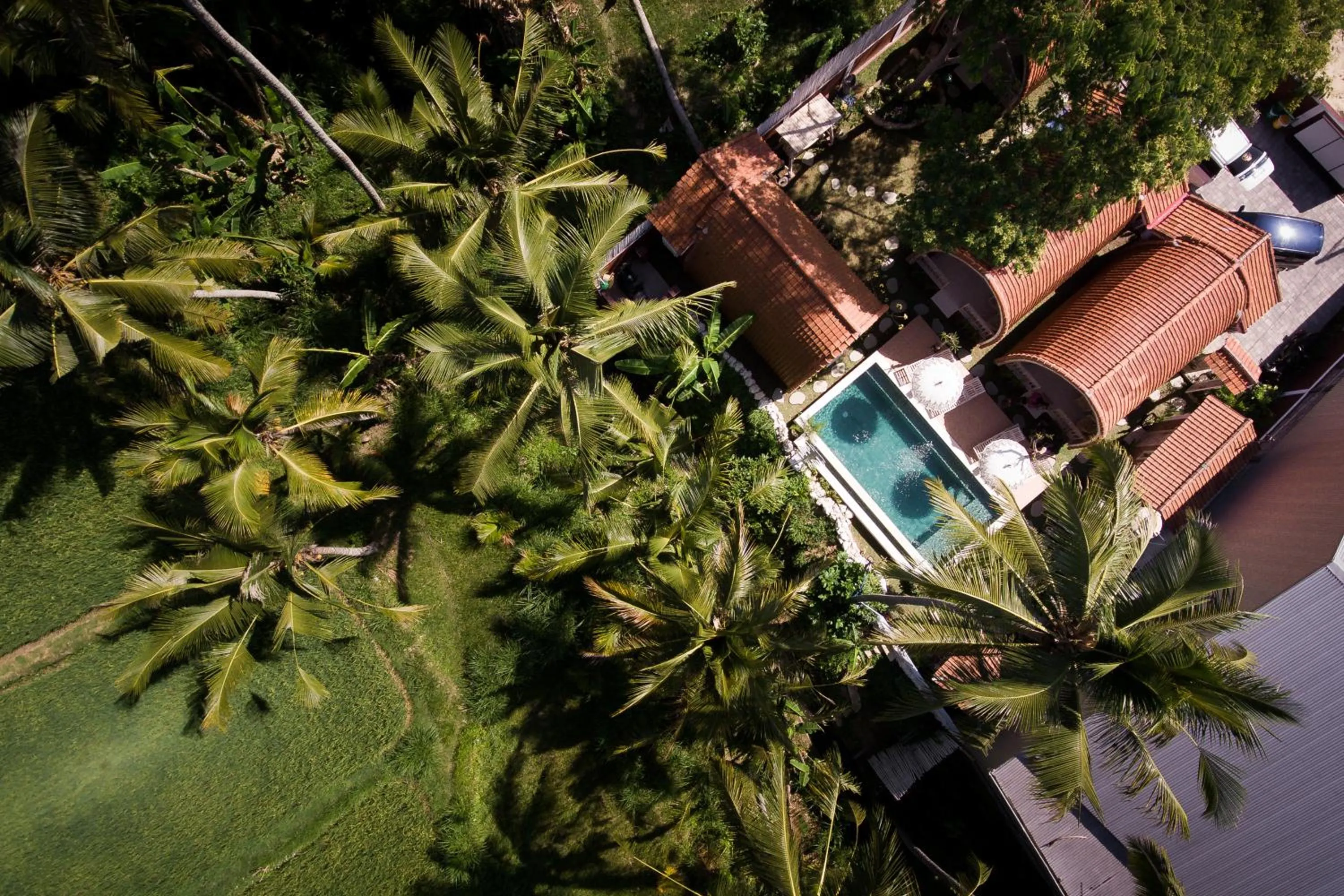 Bird's eye view in Puri Lumbung Village