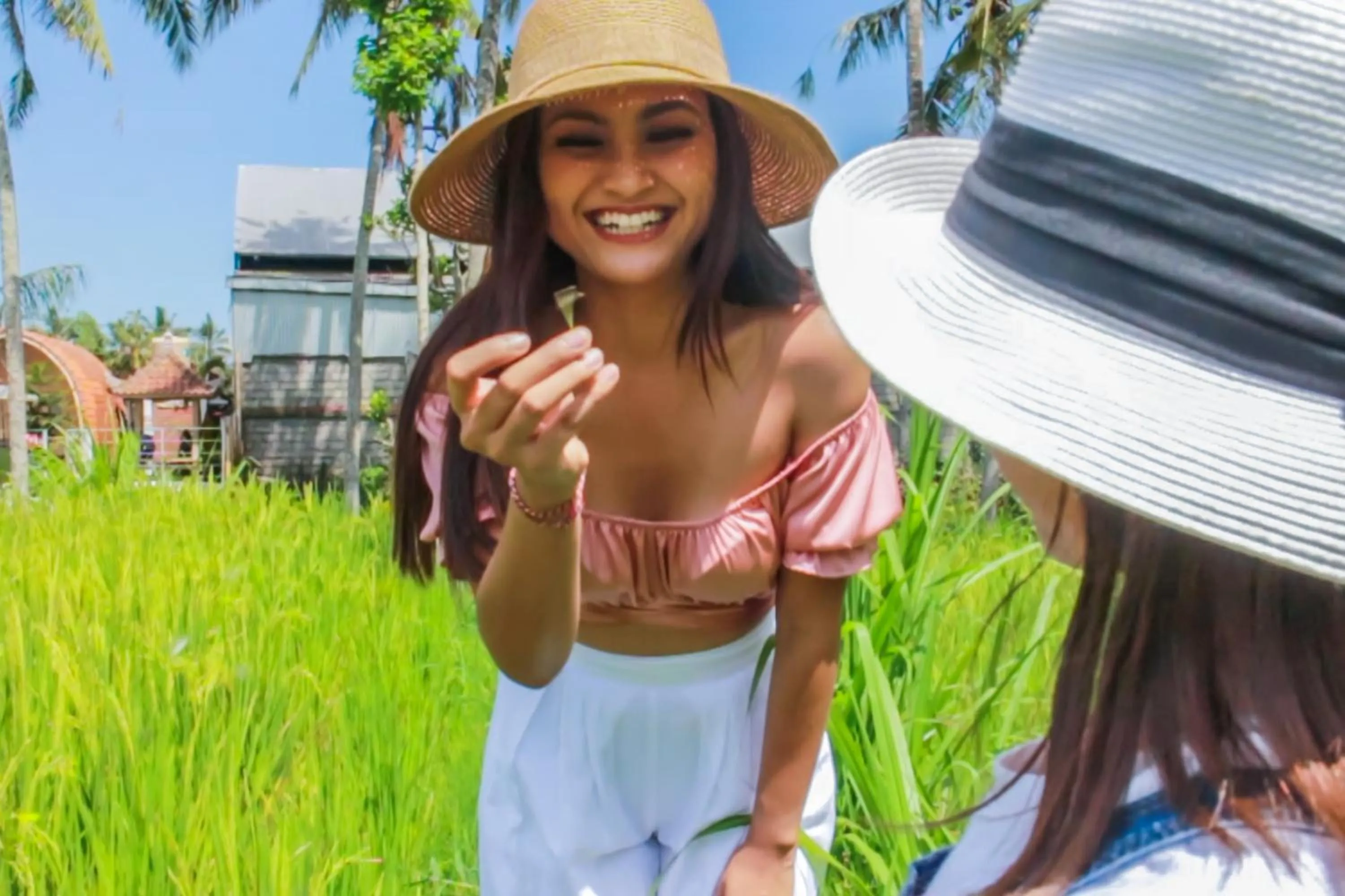 Activities in Puri Lumbung Village