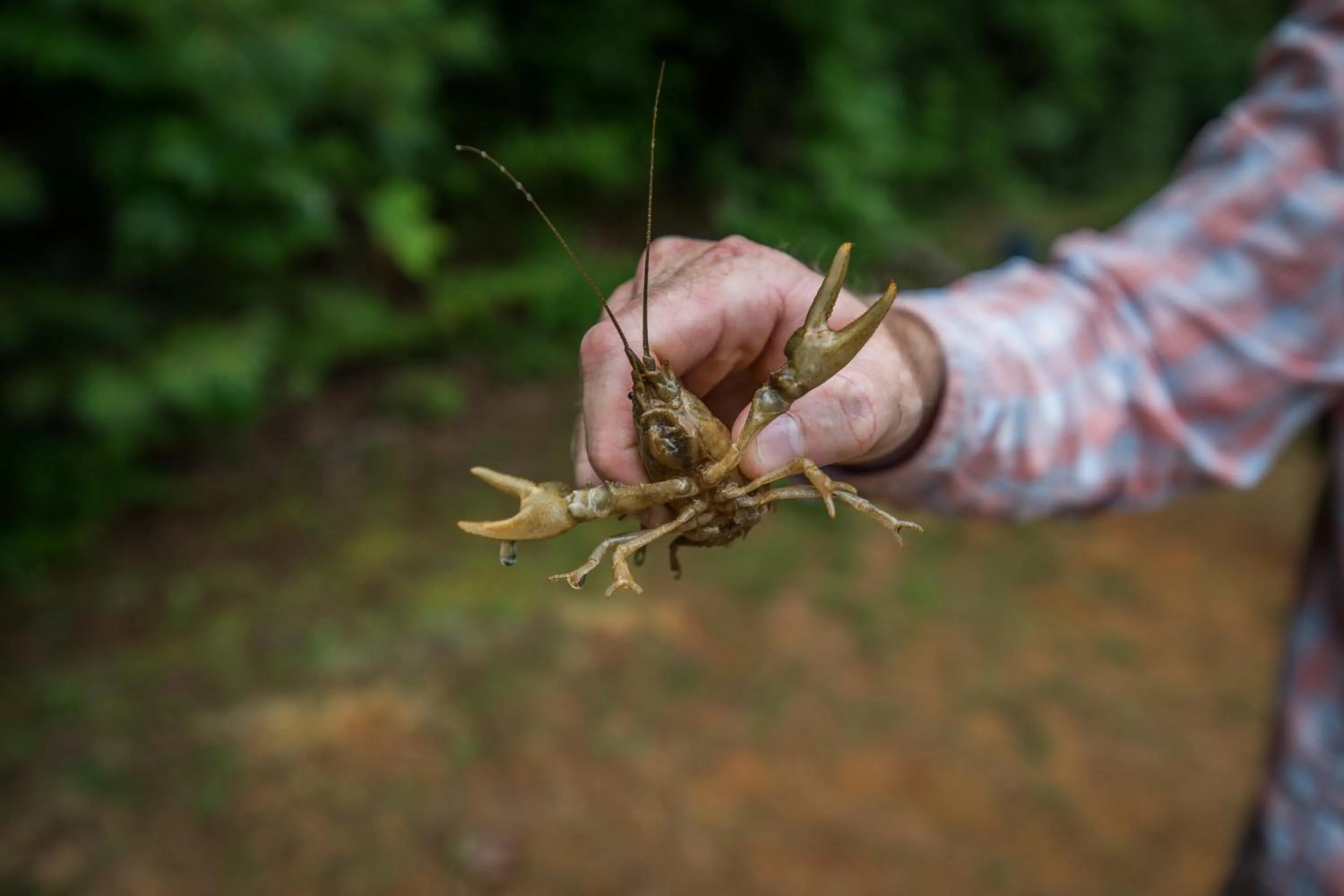 Fishing in Springmaid Mountain Retreat & Stables