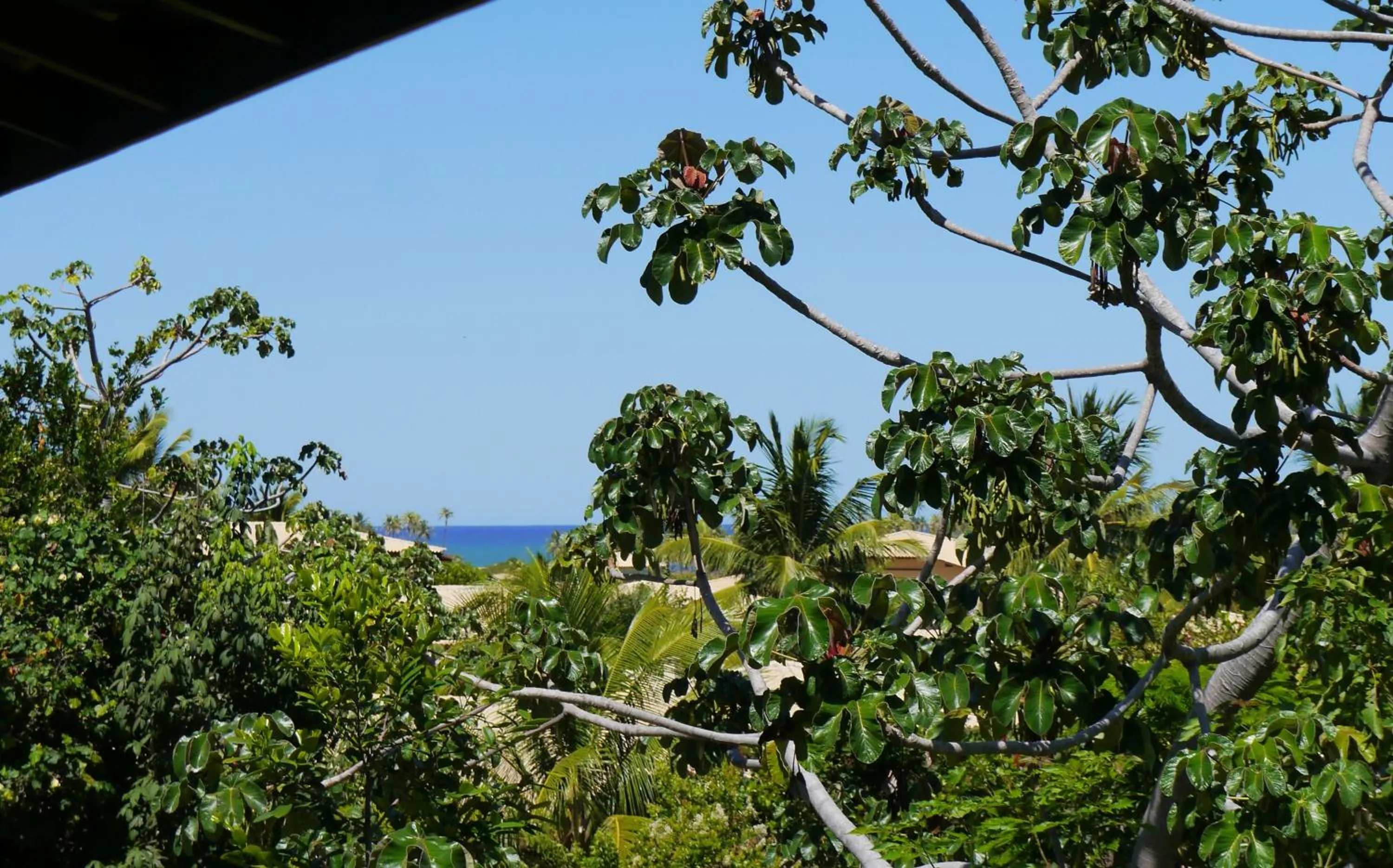 Day in Apartamento Terraco Buganvilias - Reserva Imbassai