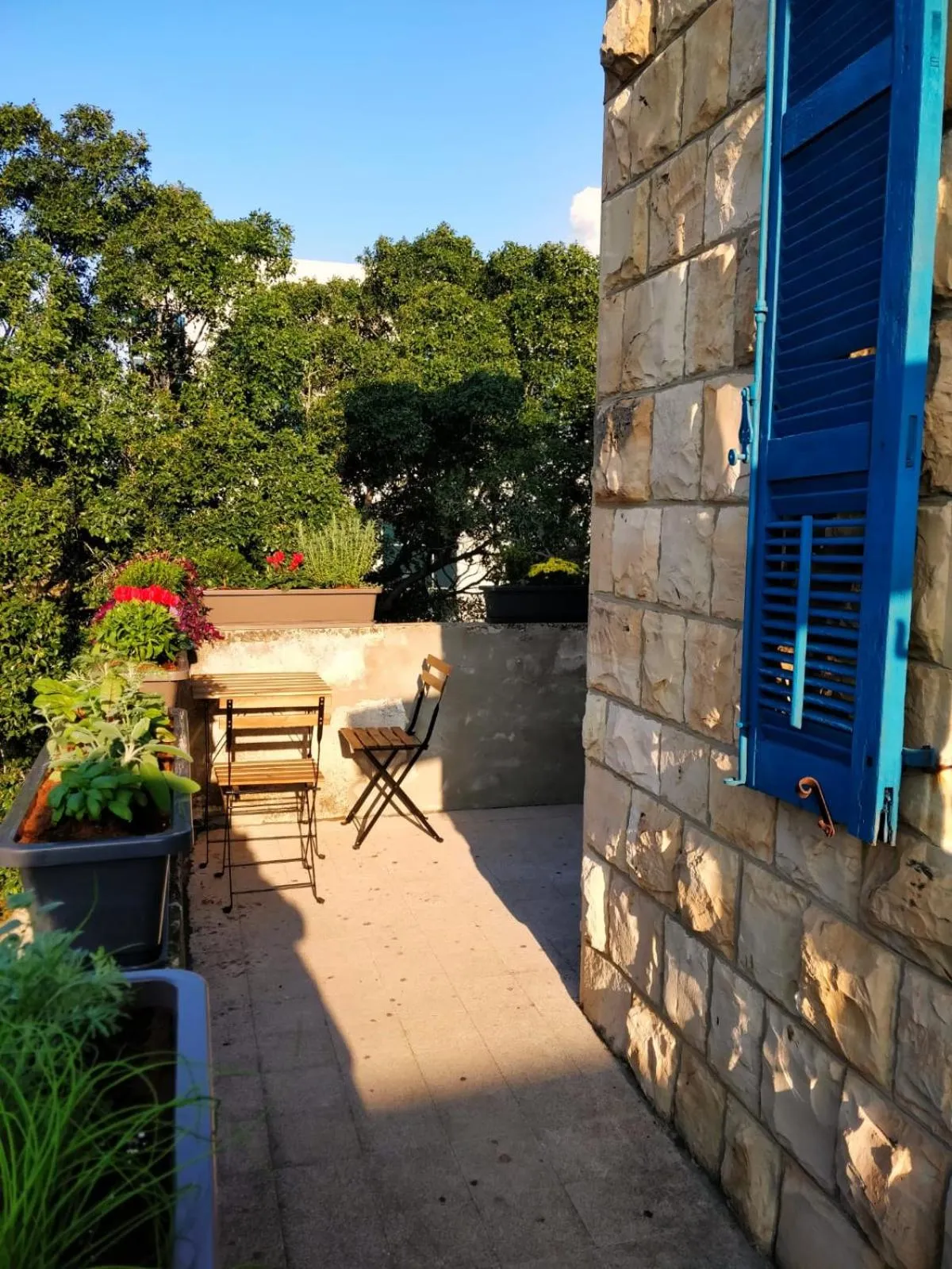 Balcony/Terrace in Hostel Roks