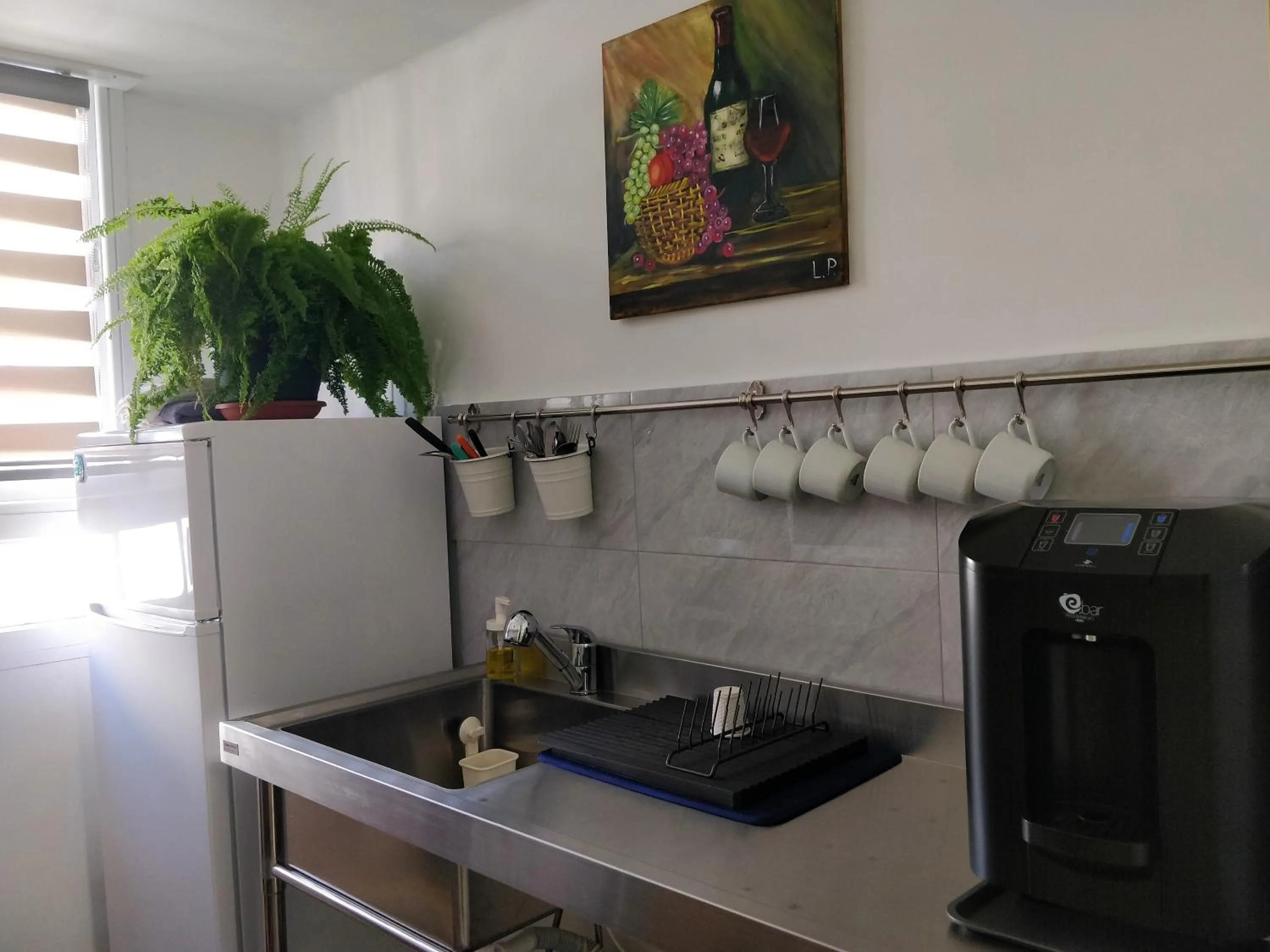 Communal kitchen in Hostel Roks