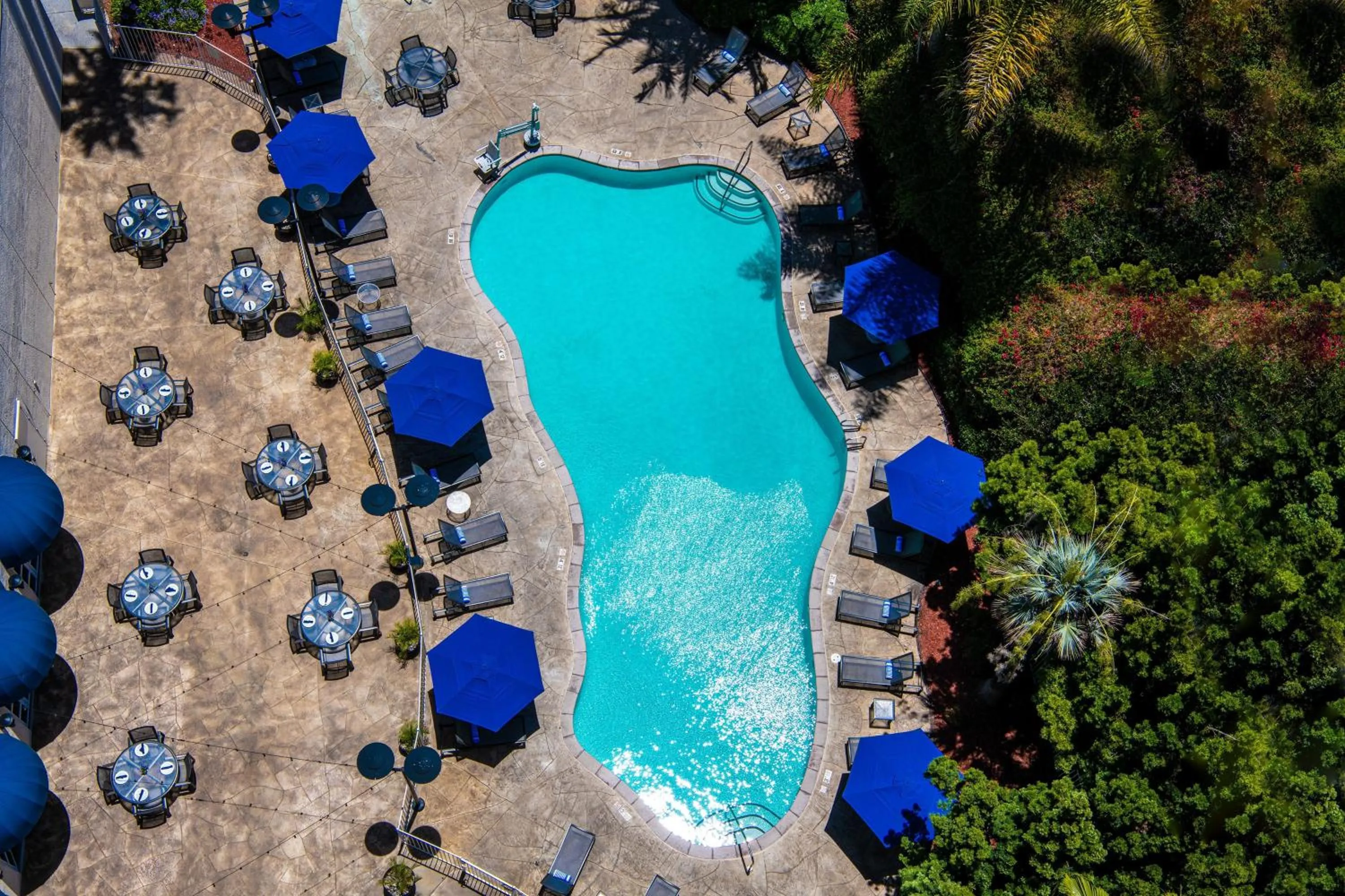 Swimming pool in Sheraton Mission Valley San Diego Hotel