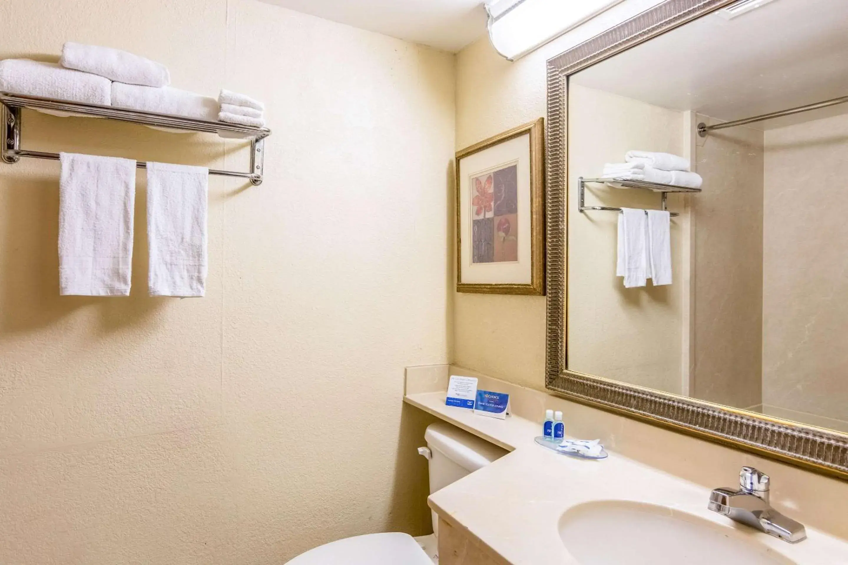 Bathroom in Rodeway Inn Central