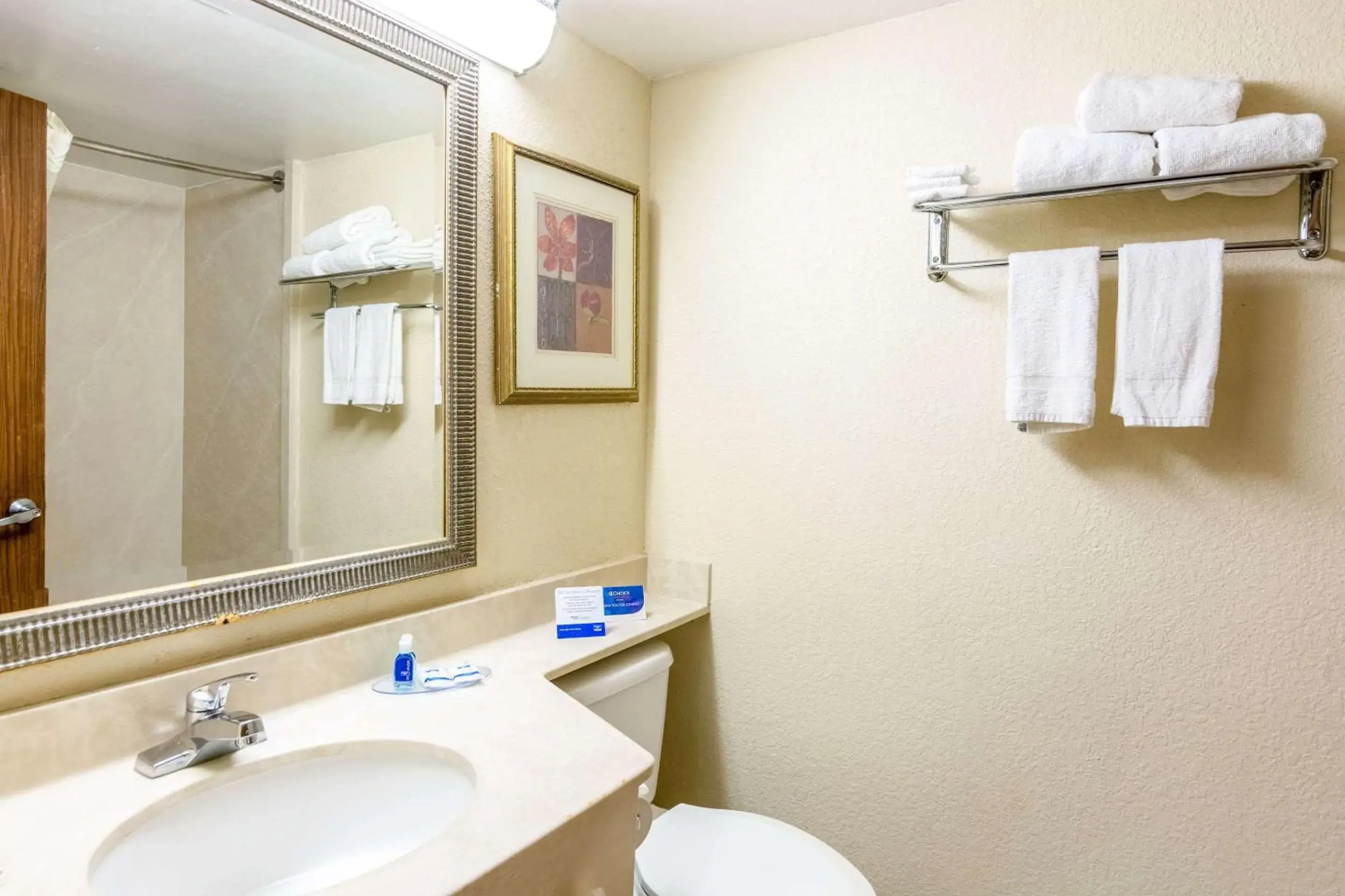 Bathroom in Rodeway Inn Central