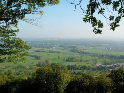 Area and facilities in Logis Hôtel Restaurant Kleiber