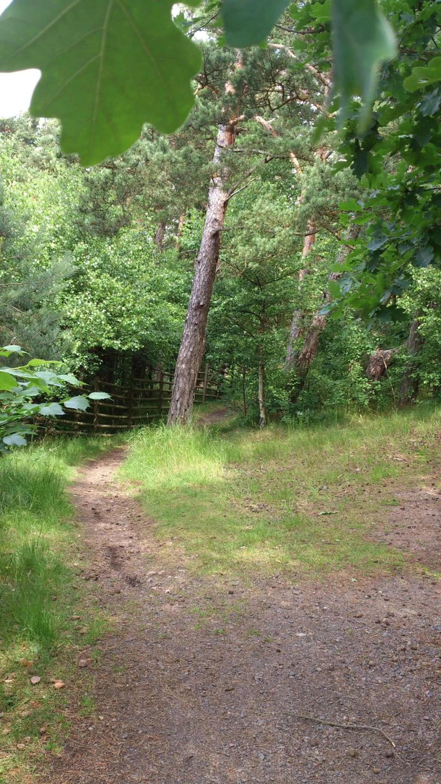 Natural landscape in Vejby Strand Hotel