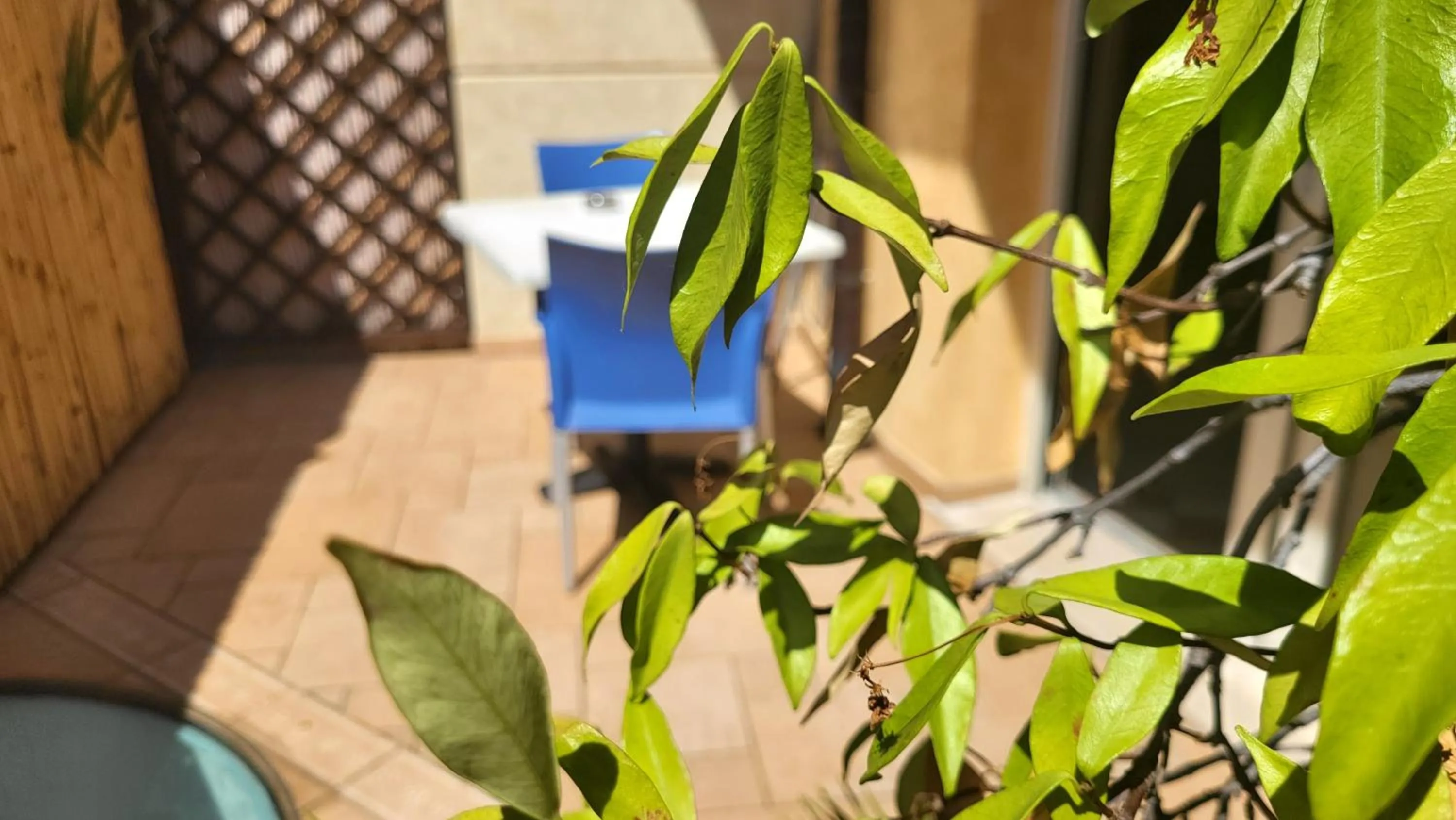 Property building in Residence Rosemary