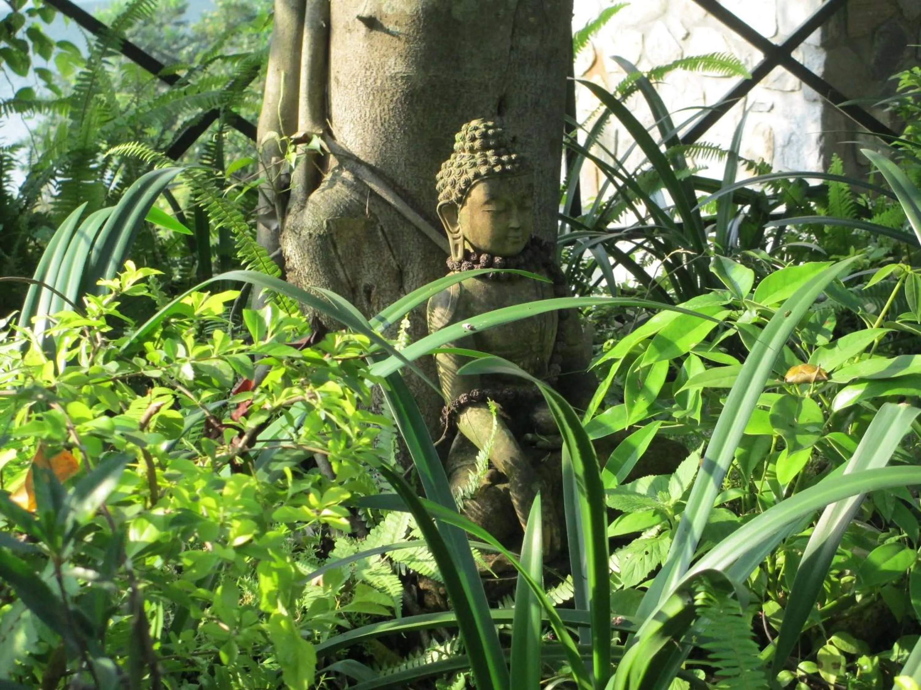 Day in The Begnas Lake Resort & Villas