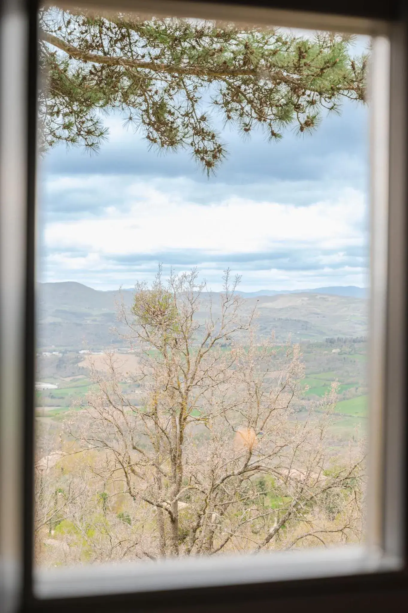 Deluxe Suite in Nikis Resort Deluxe Suite in Nikis Resort