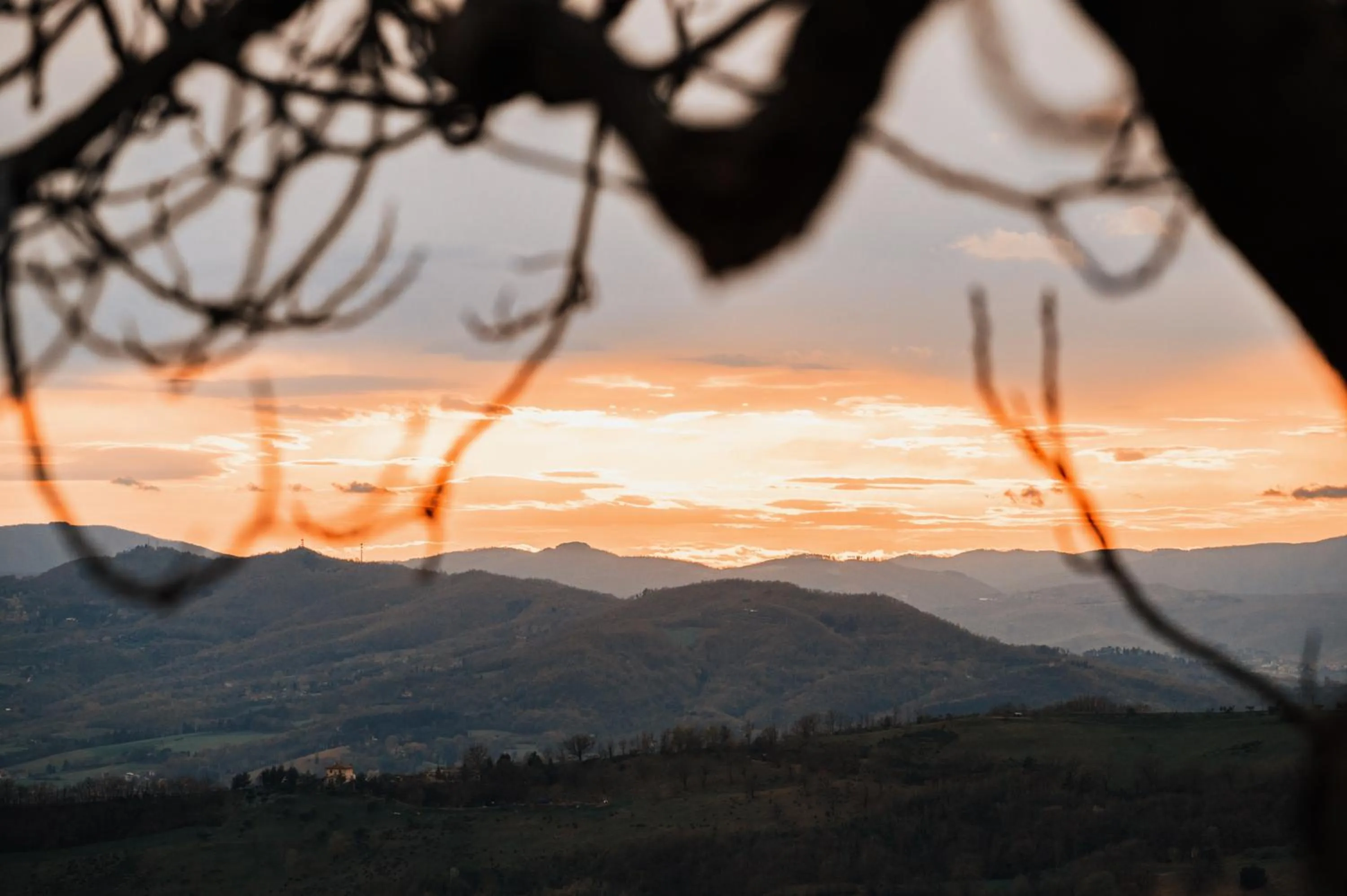 Natural landscape in Nikis Resort