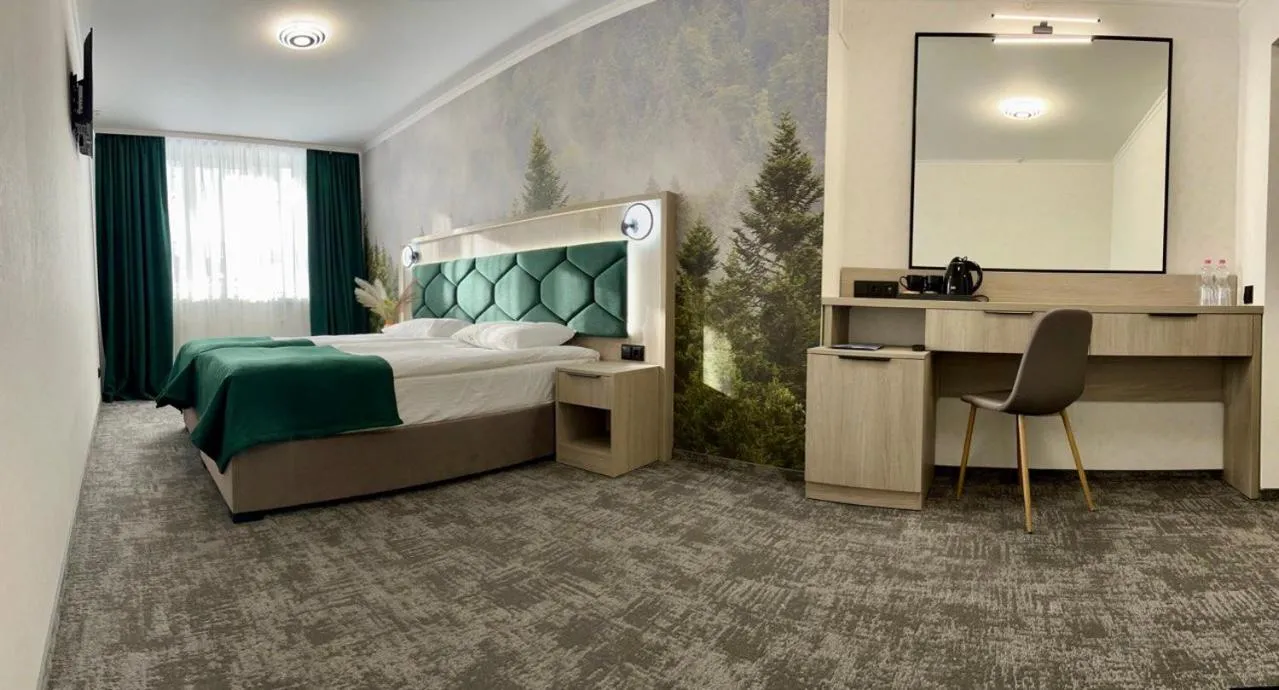 Standard Double or Twin Room in Prykarpattya