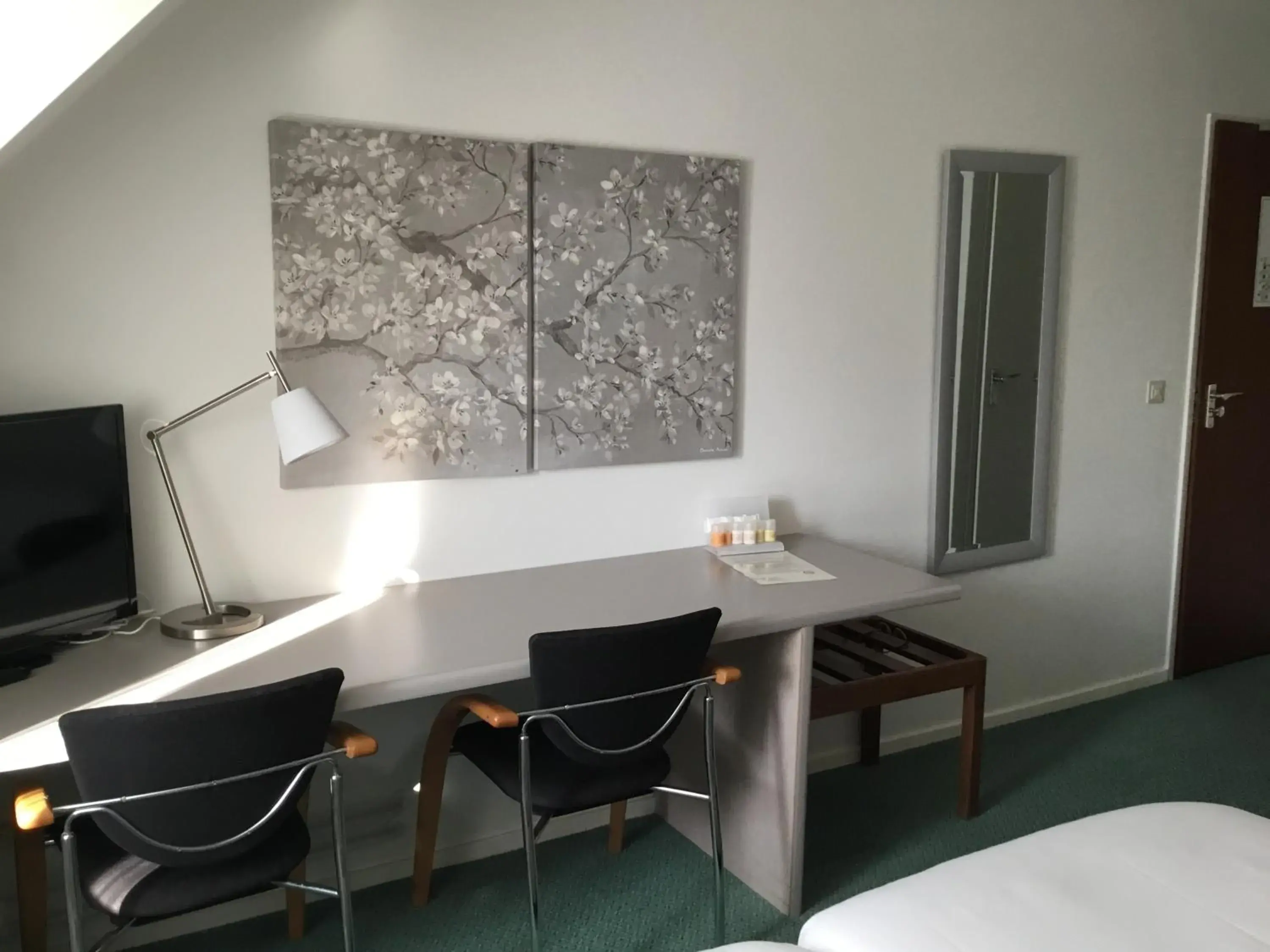 Triple Room - single occupancy in Hotel Steensel Triple Room - single occupancy in Hotel Steensel