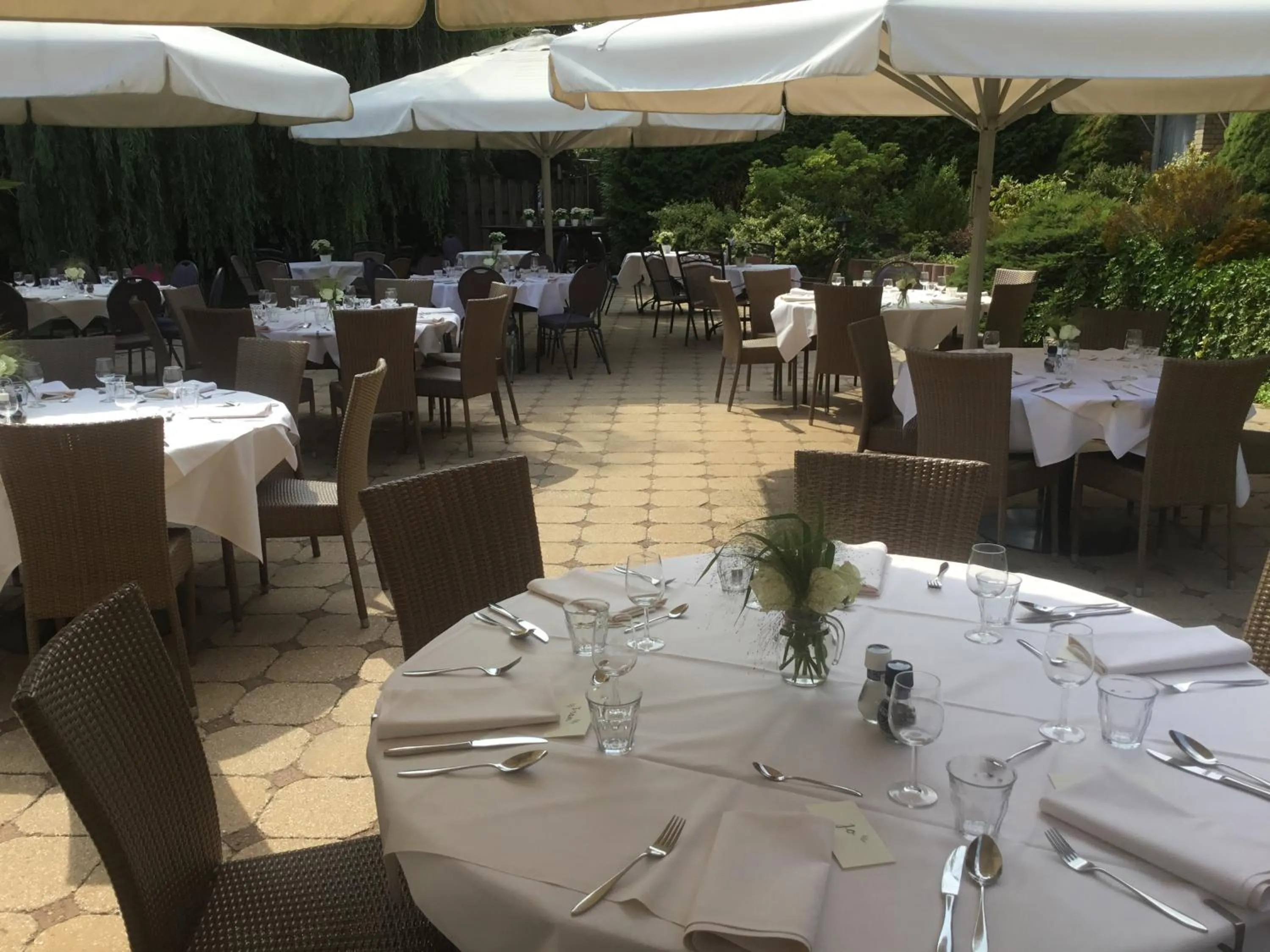 Garden in Hotel Steensel