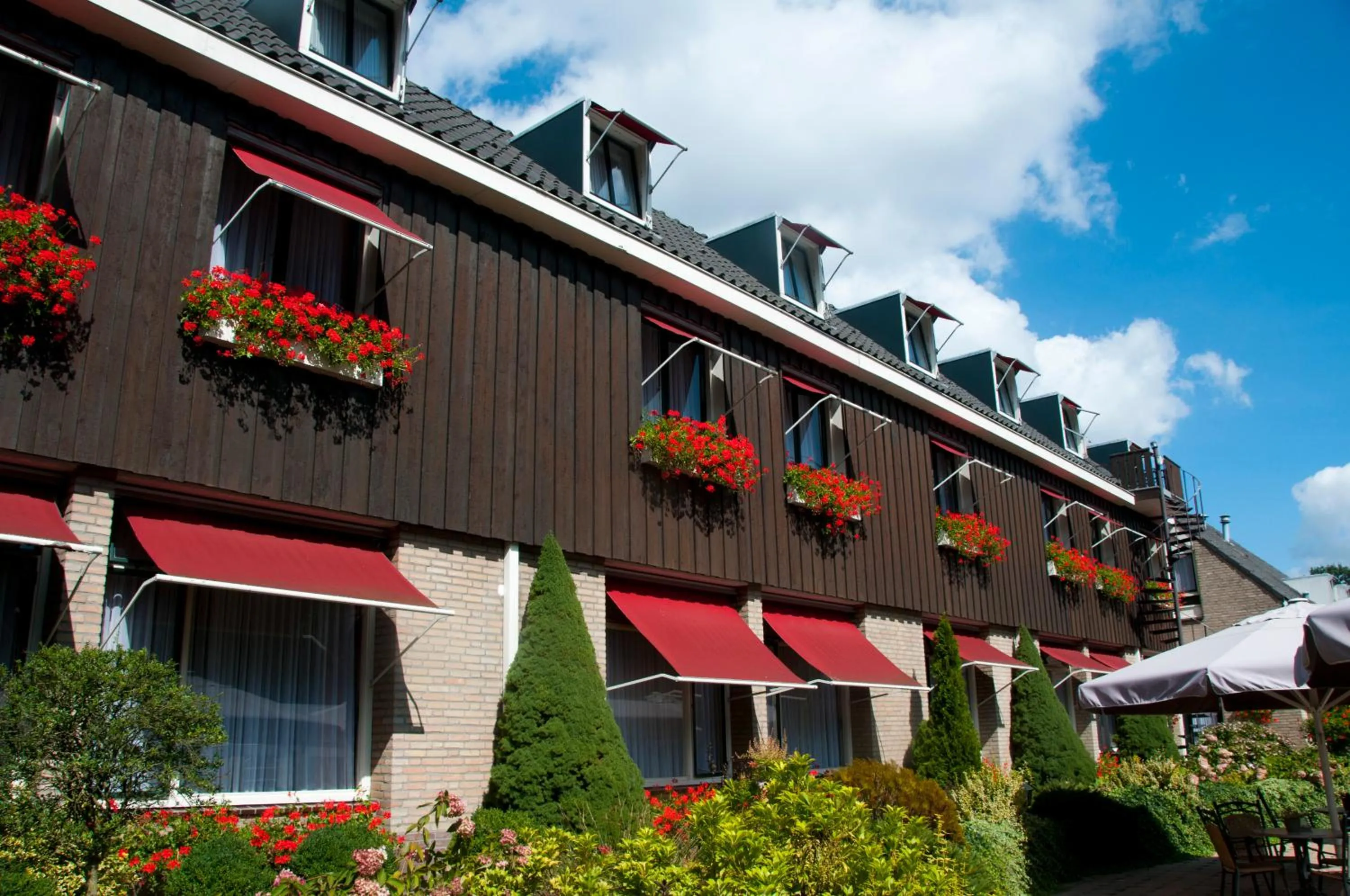 Garden view in Hotel Steensel