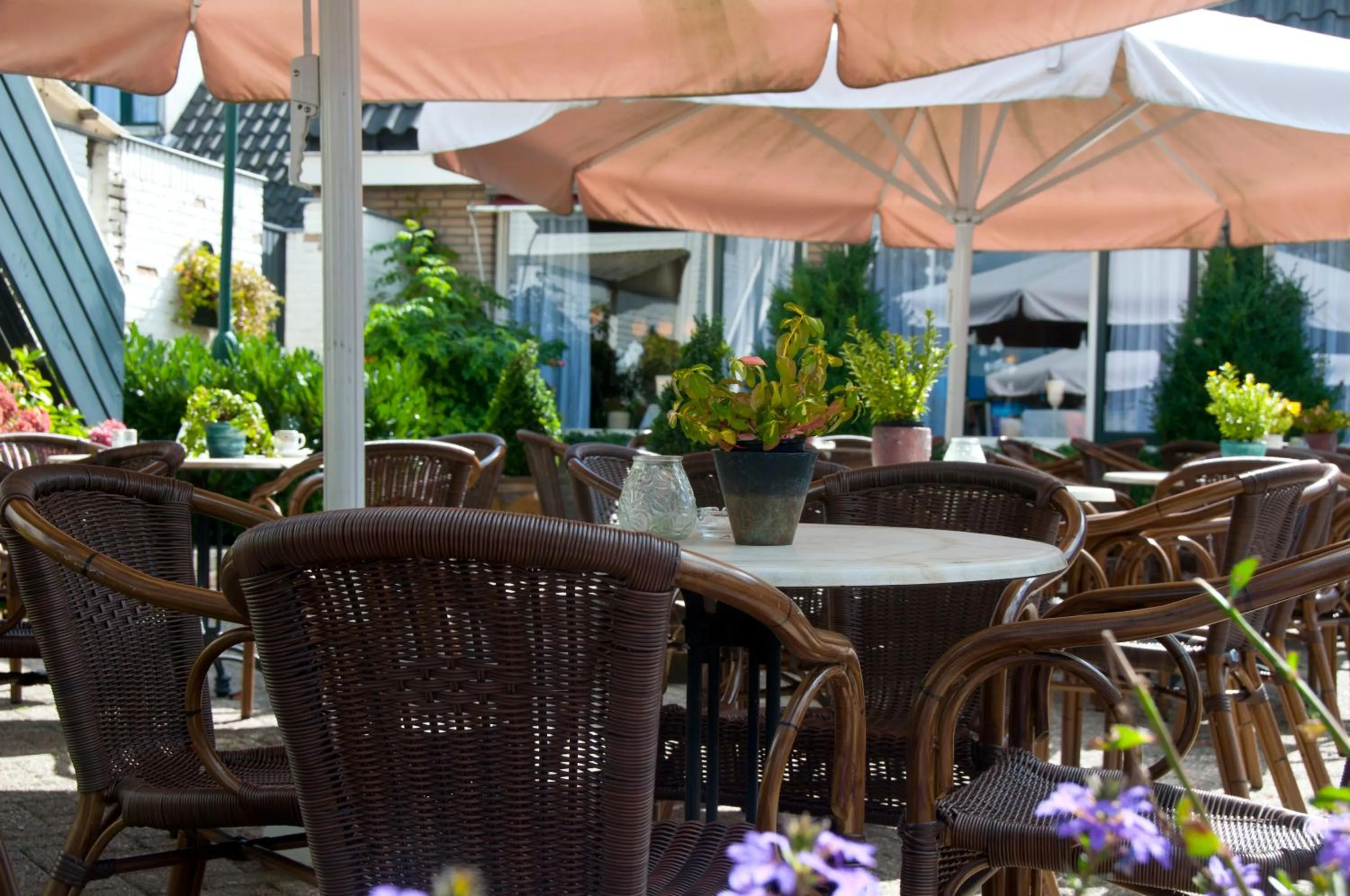 Balcony/Terrace in Hotel Steensel
