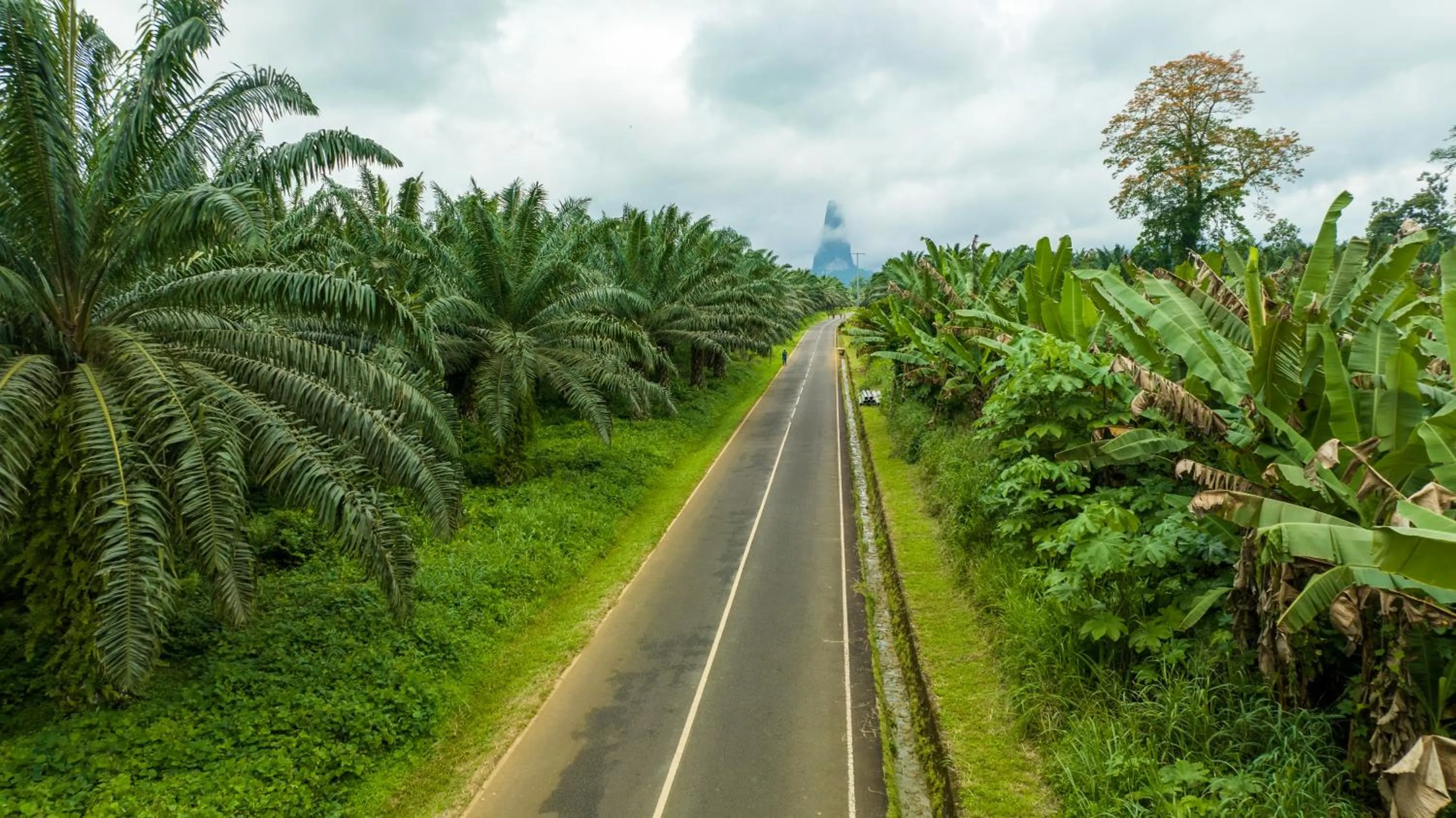 Natural landscape in Omali São Tomé