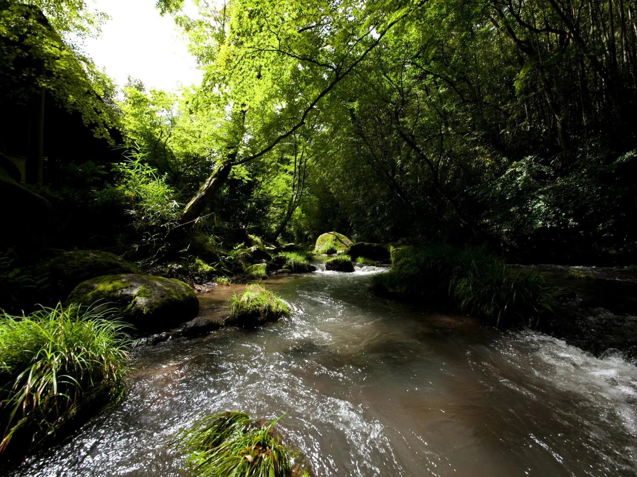 Natural landscape in Yufuin Gettouan