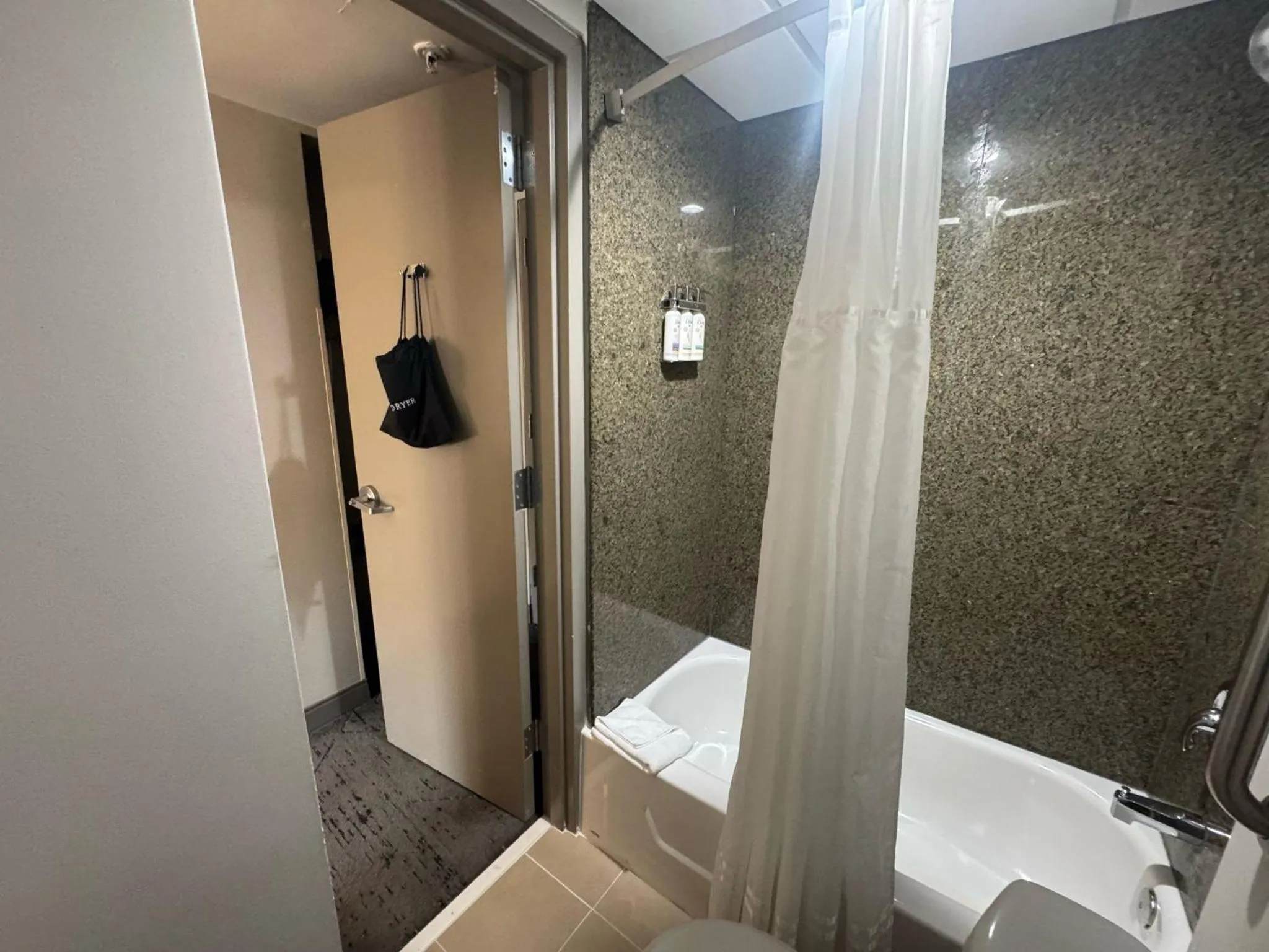 Holiday Inn Express & Suites - Atlanta Downtown by IHG