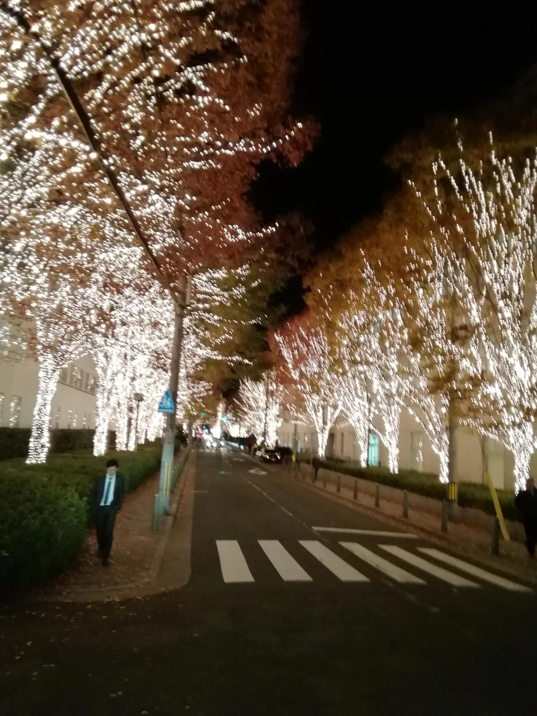 Nearby landmark in Kyo No Yado Nishioji inn