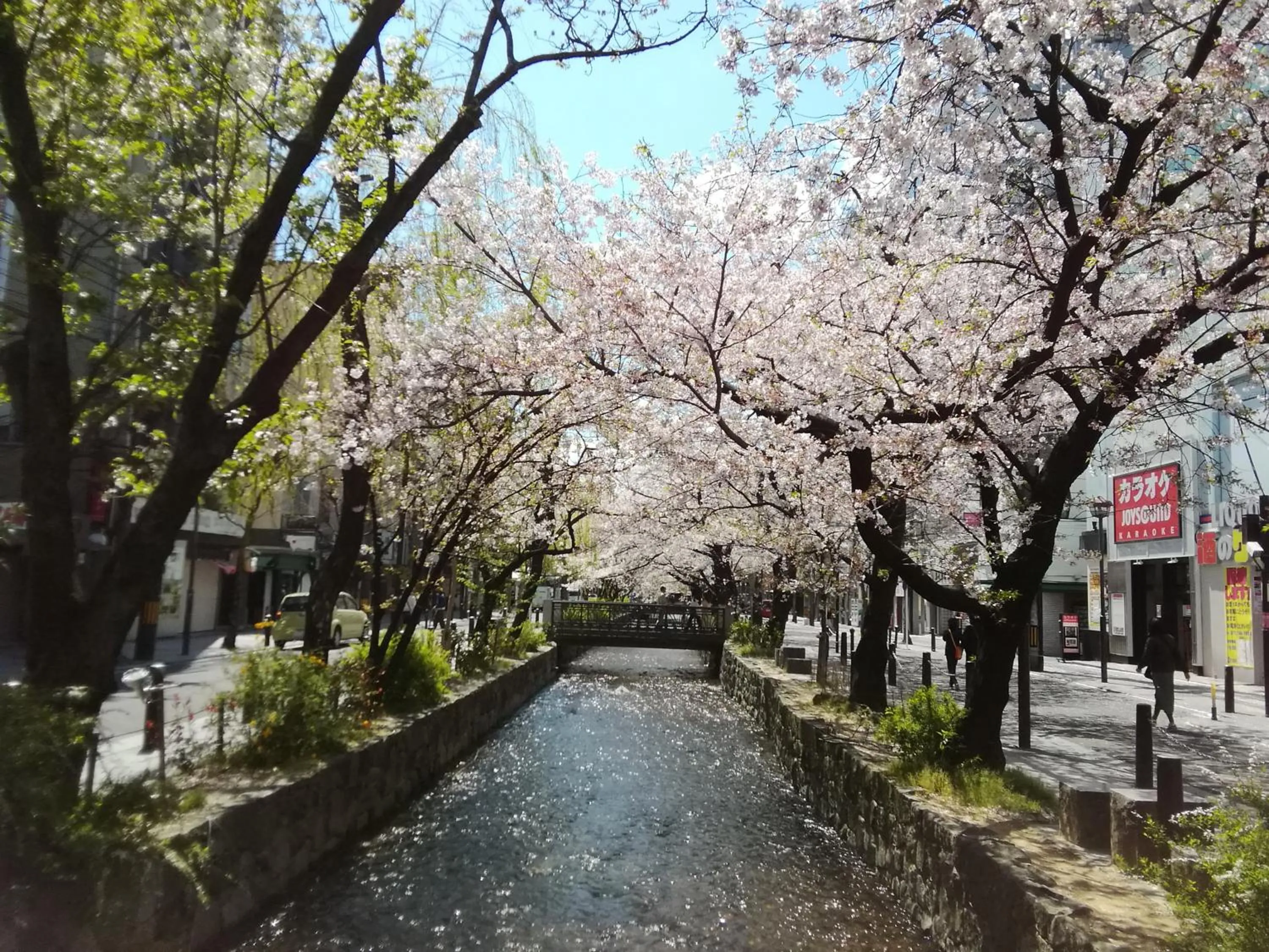 Spring in Kyo No Yado Nishioji inn