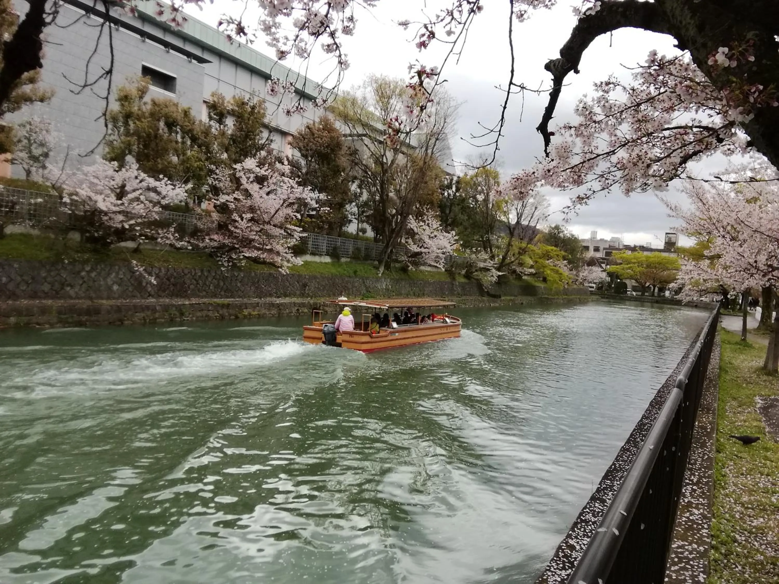 Spring in Kyo No Yado Nishioji inn