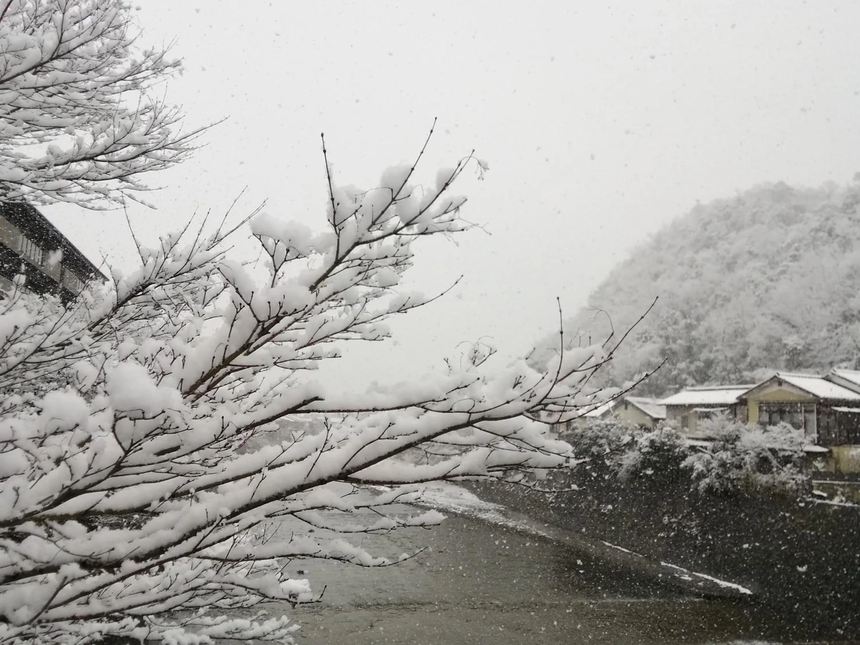 Natural landscape in Kyo No Yado Nishioji inn