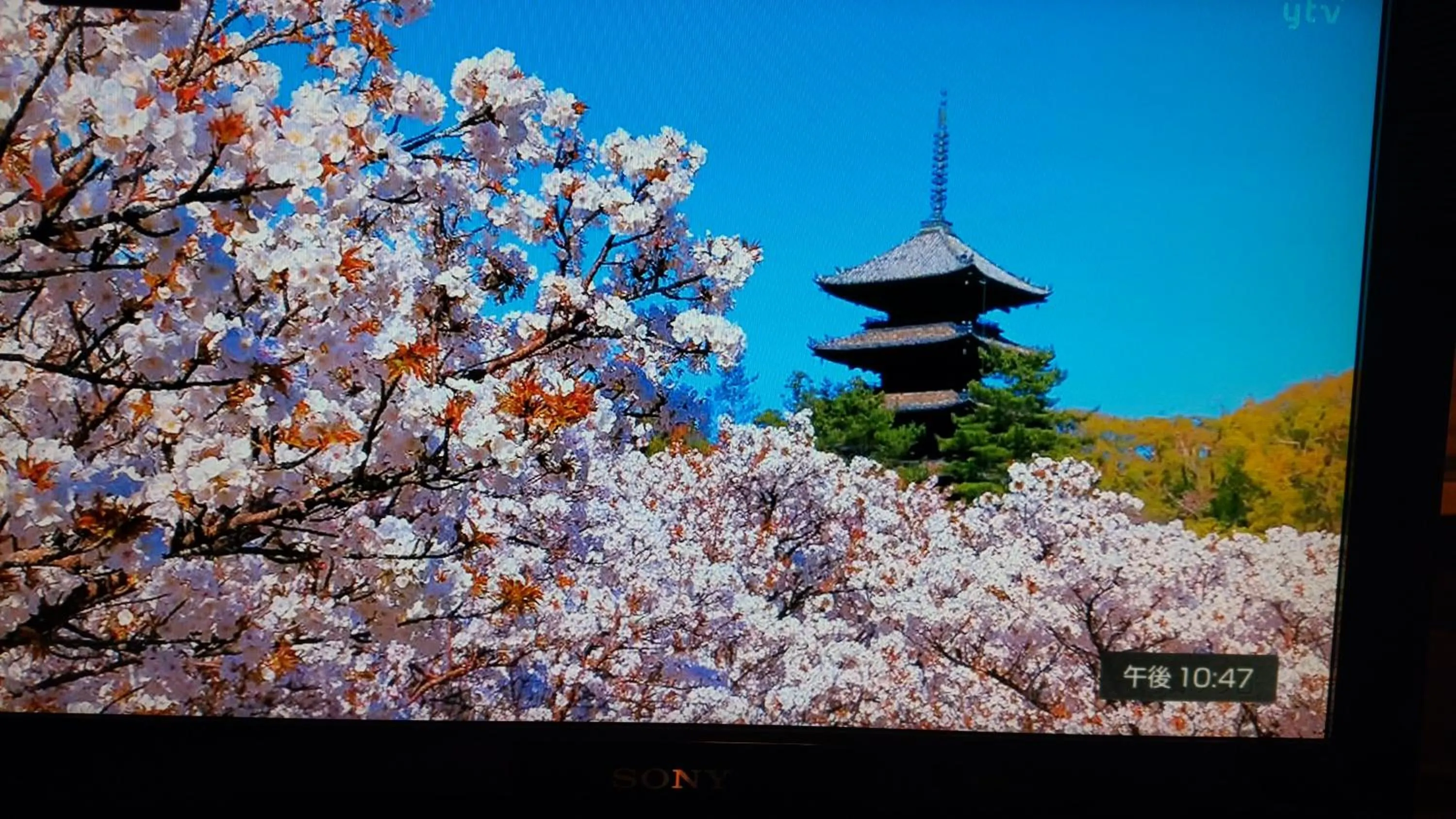 Nearby landmark in Kyo No Yado Nishioji inn