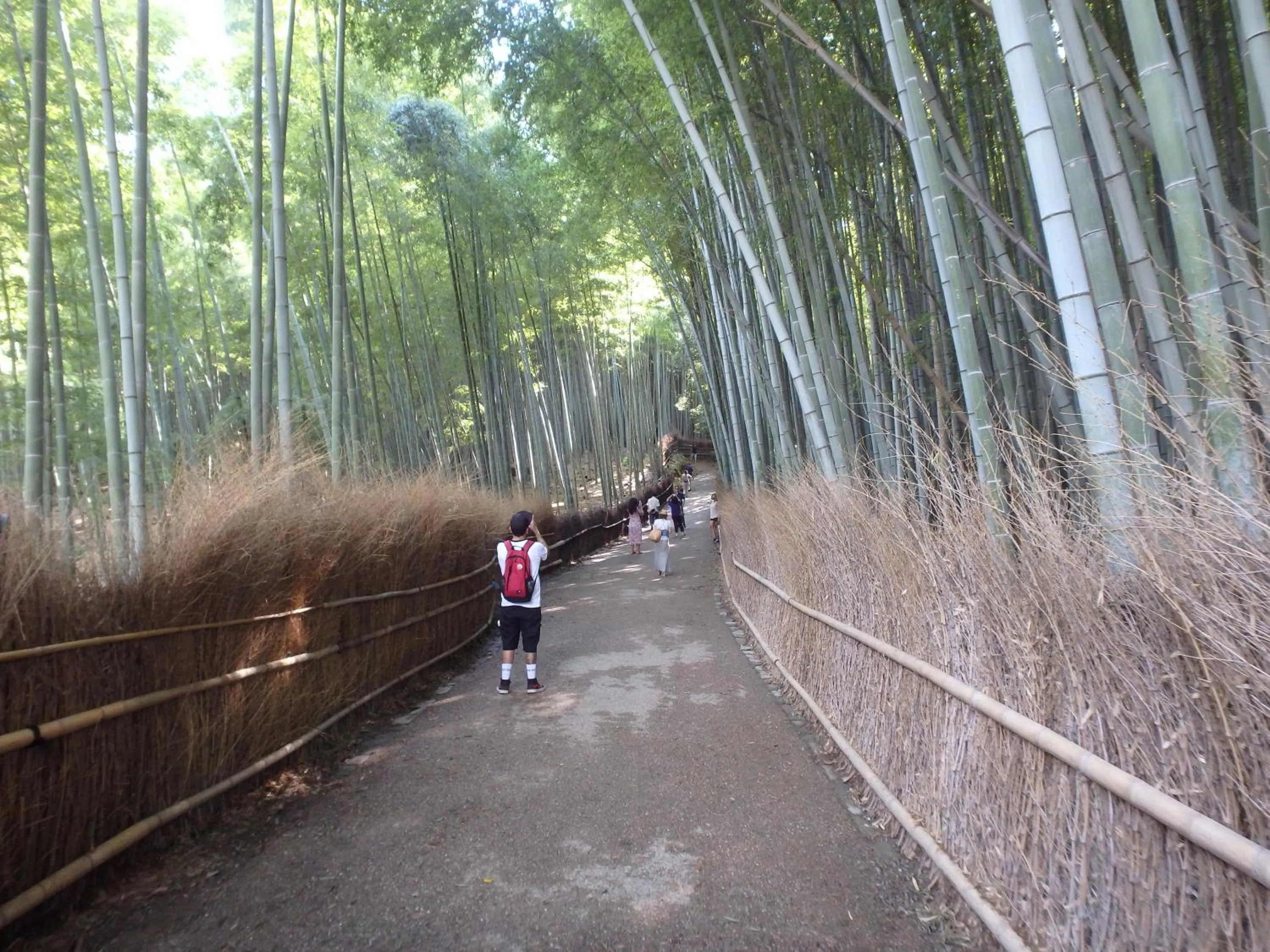 Nearby landmark in Kyo No Yado Nishioji inn