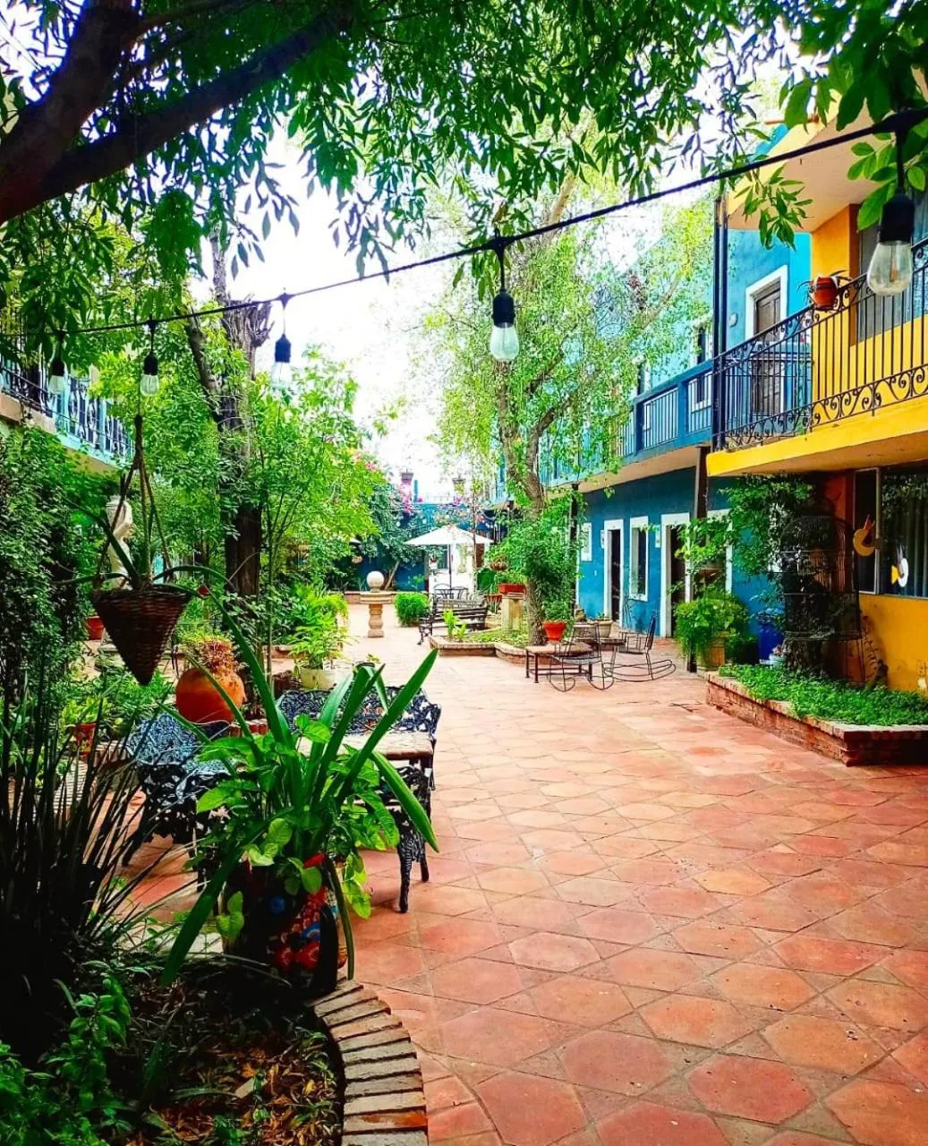 Garden in Hotel Olimpia Centro Histórico
