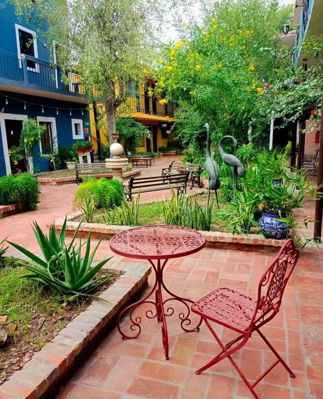 Garden in Hotel Olimpia Centro Histórico