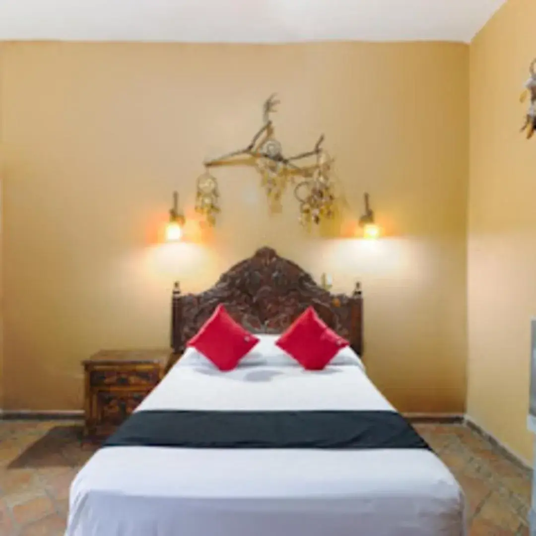 Standard Double Room in Hotel Olimpia Centro Histórico Standard Double Room in Hotel Olimpia Centro Histórico