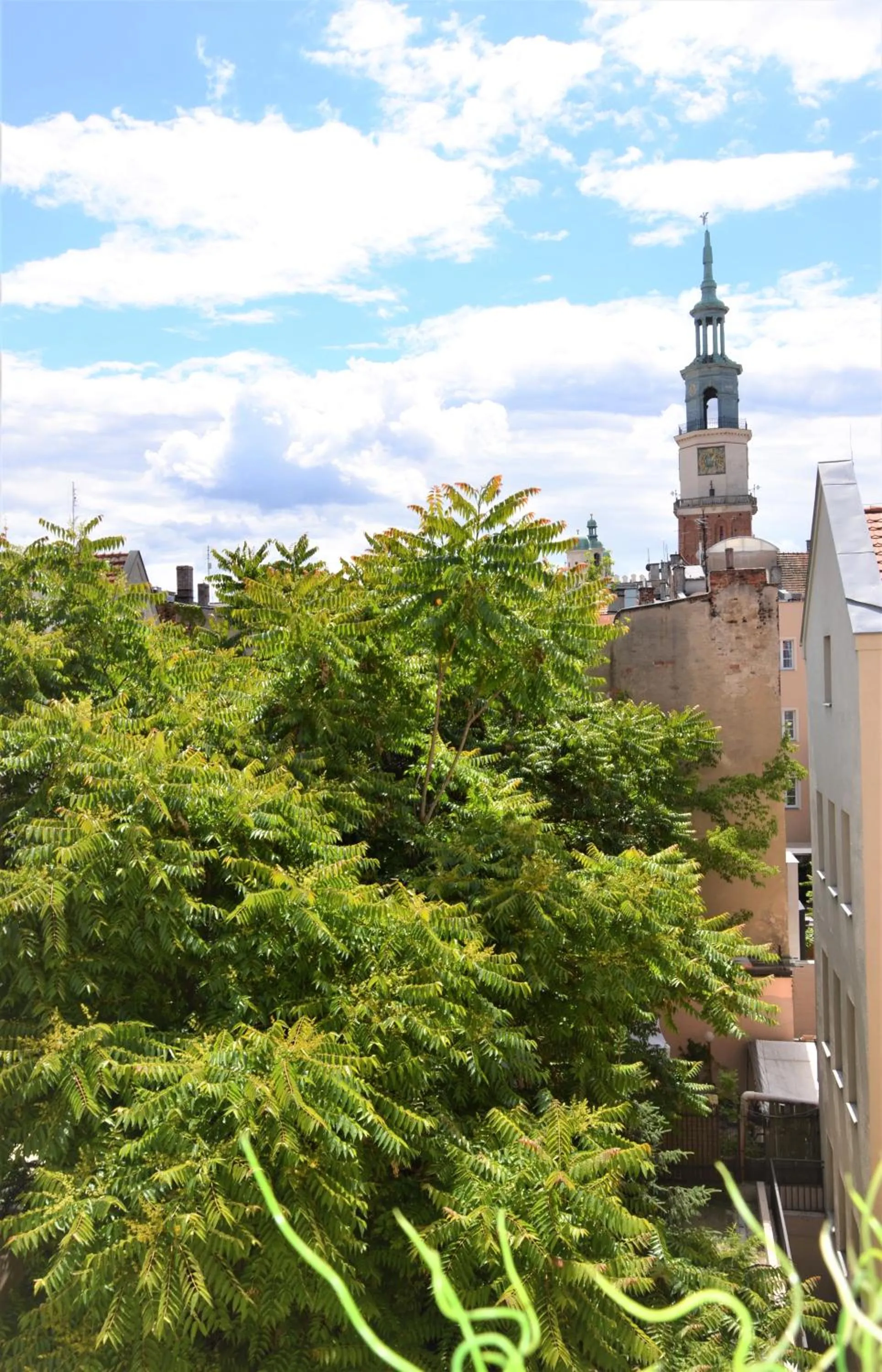 Nearby landmark in TCZ Mokra