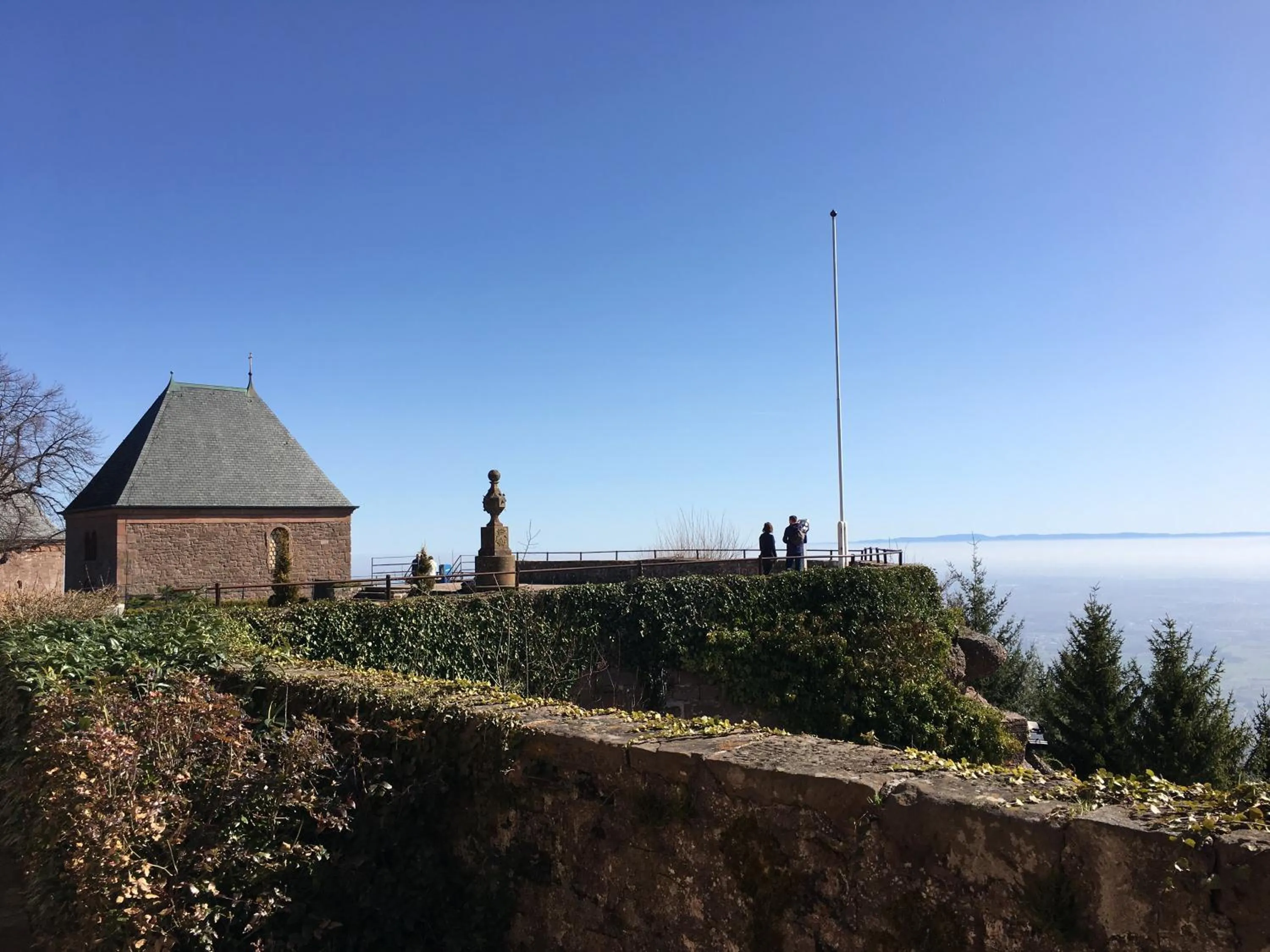 Natural landscape in Hôtel-Restaurant Mont Sainte-Odile