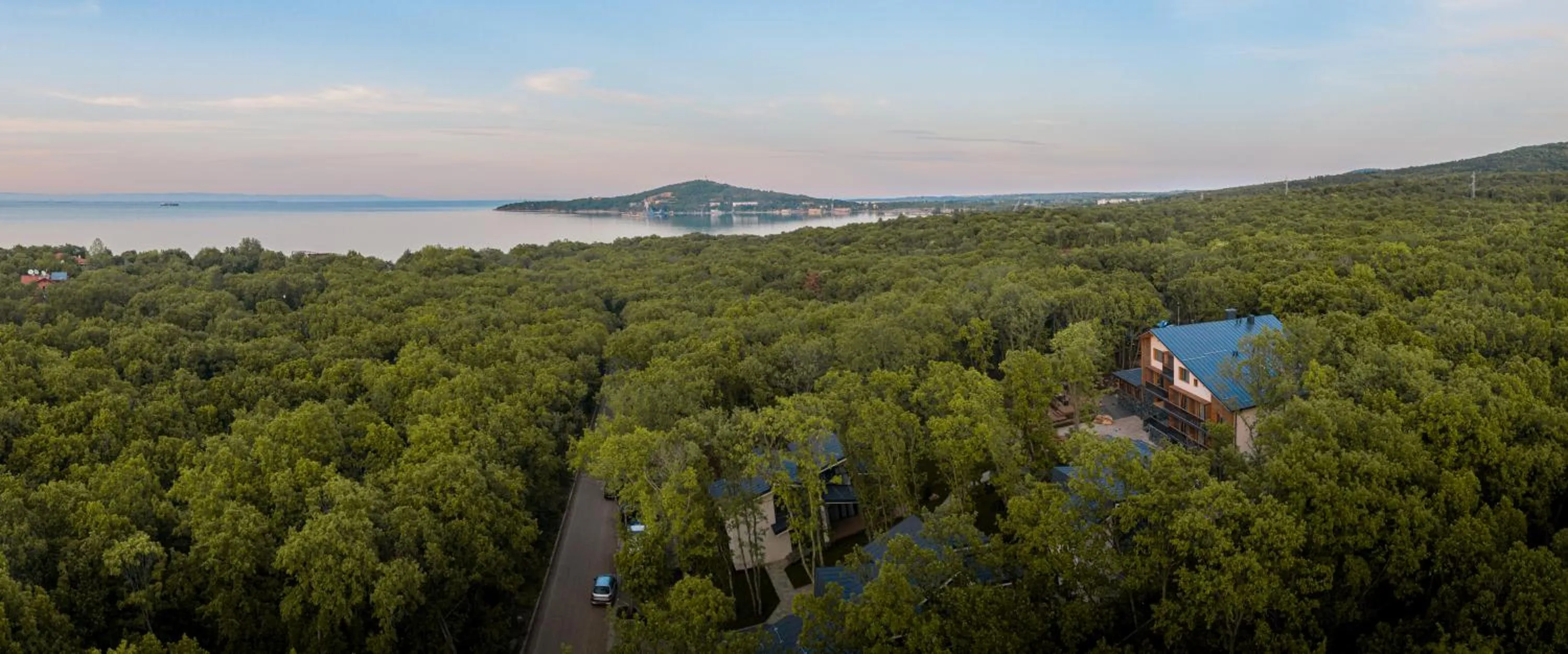 Bird's eye view in Utopia Forest