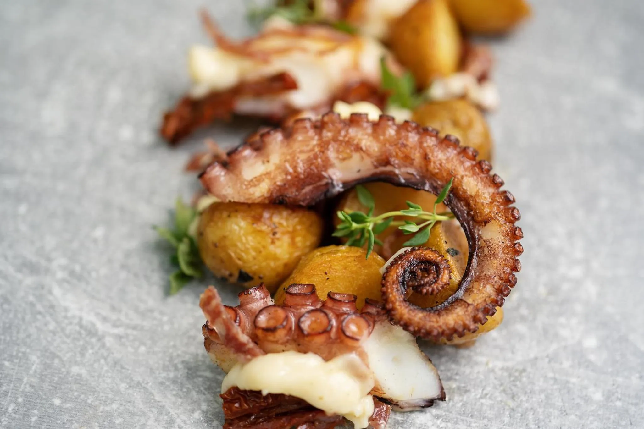 Restaurant/places to eat in Utopia Forest