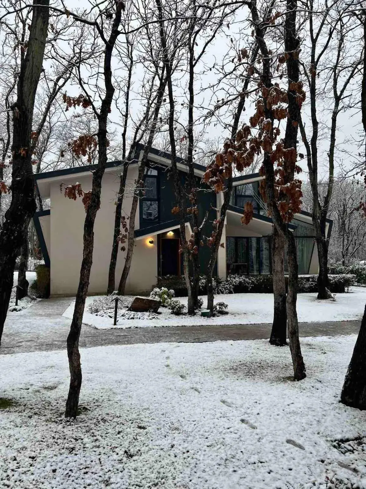 Property building in Utopia Forest Property building in Utopia Forest