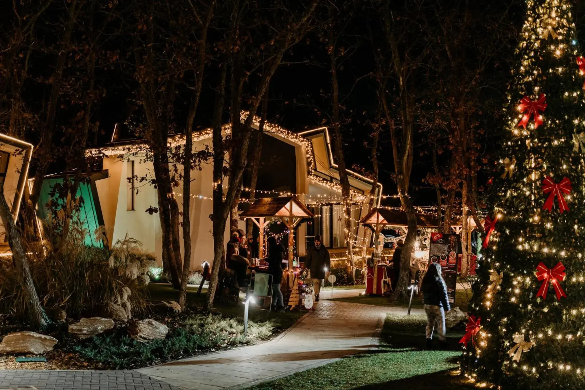 Property building in Utopia Forest Property building in Utopia Forest