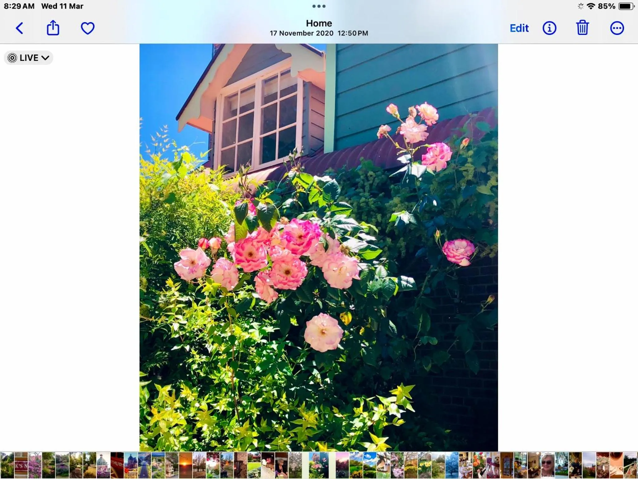 Hawk's Nest Bed & Breakfast