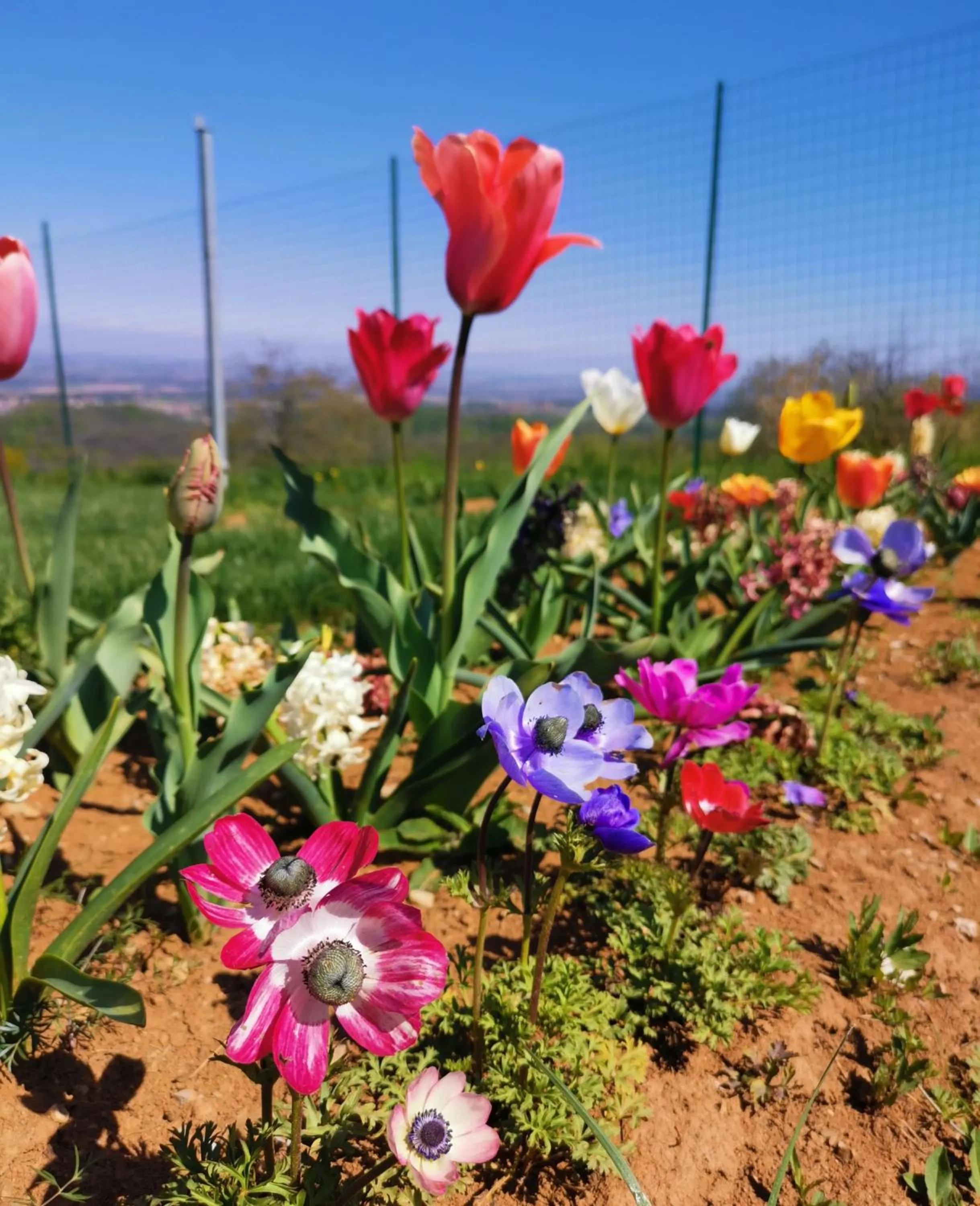 Locanda Cà Del Pian
