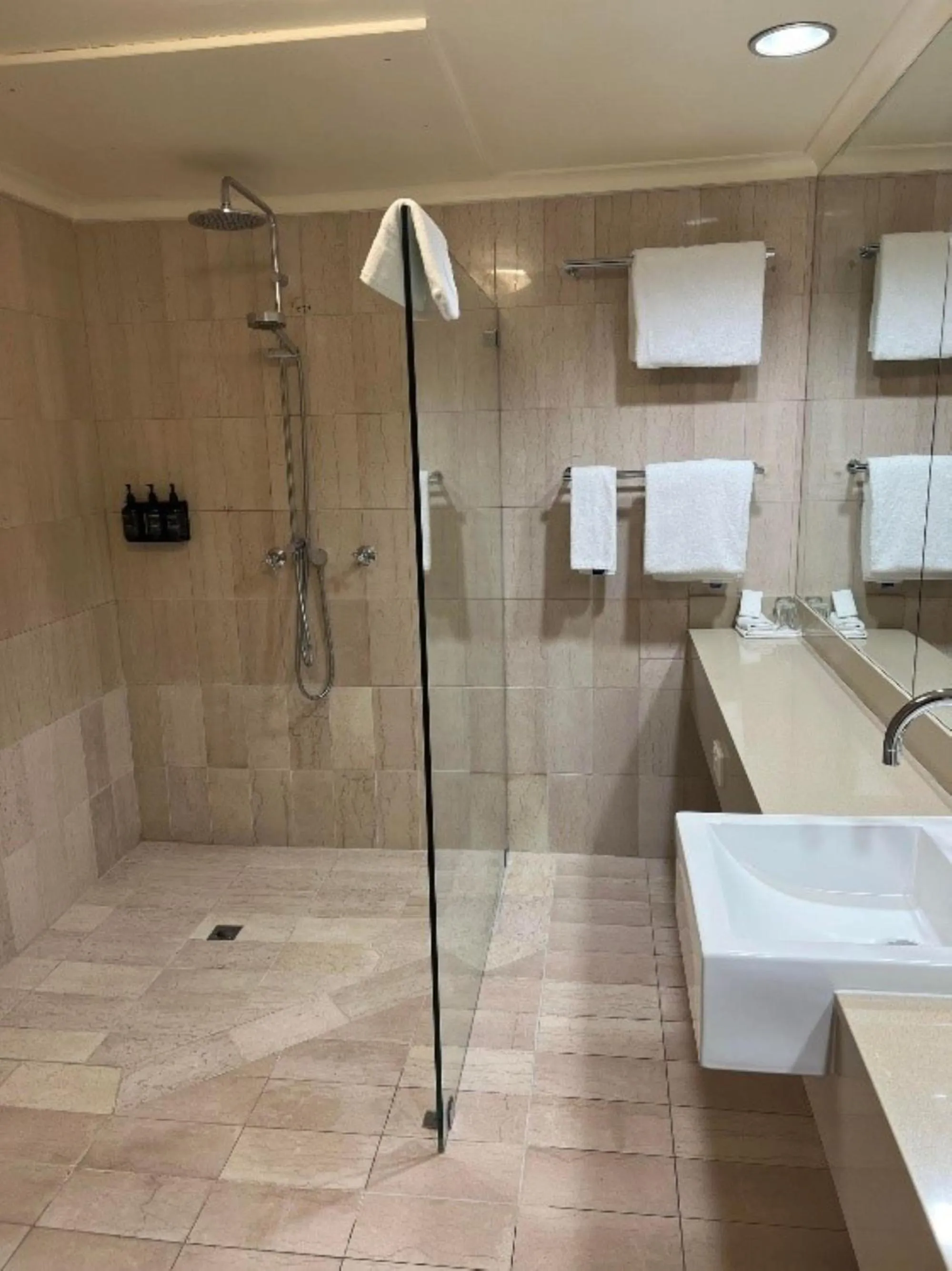 Shower in Pavilion Hotel Wagga Wagga