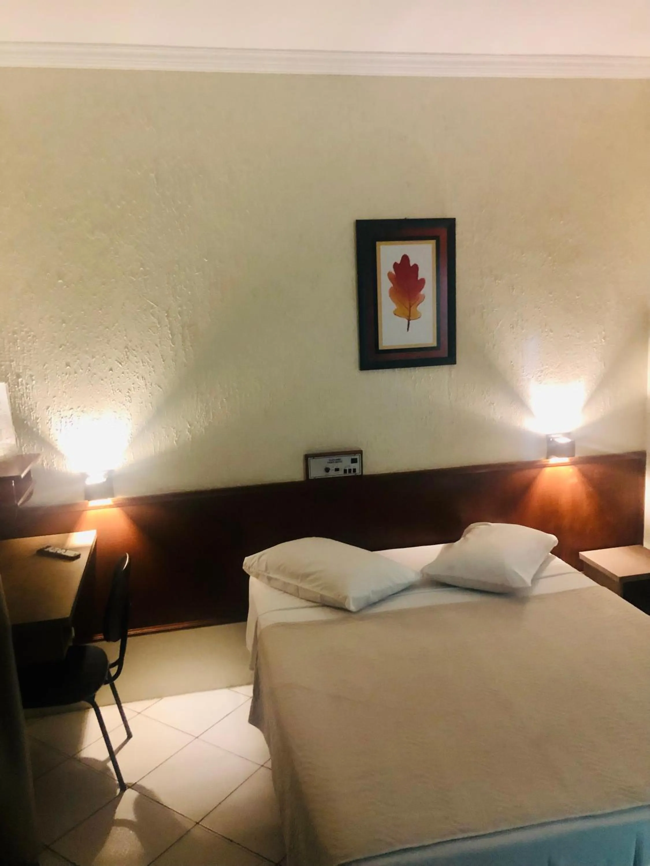 Bed in Hotel de Minas