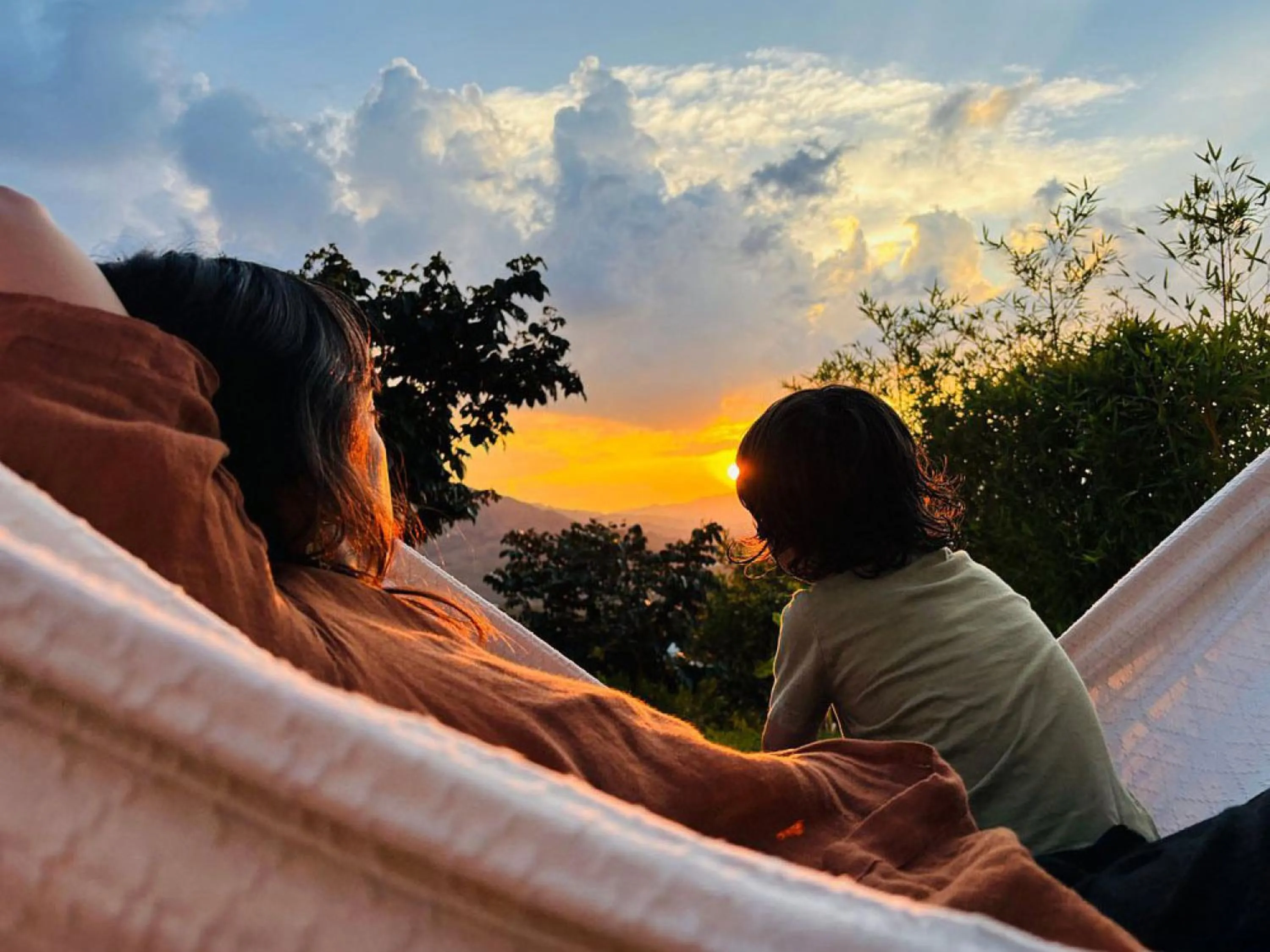 Natural landscape in Hotel Alma