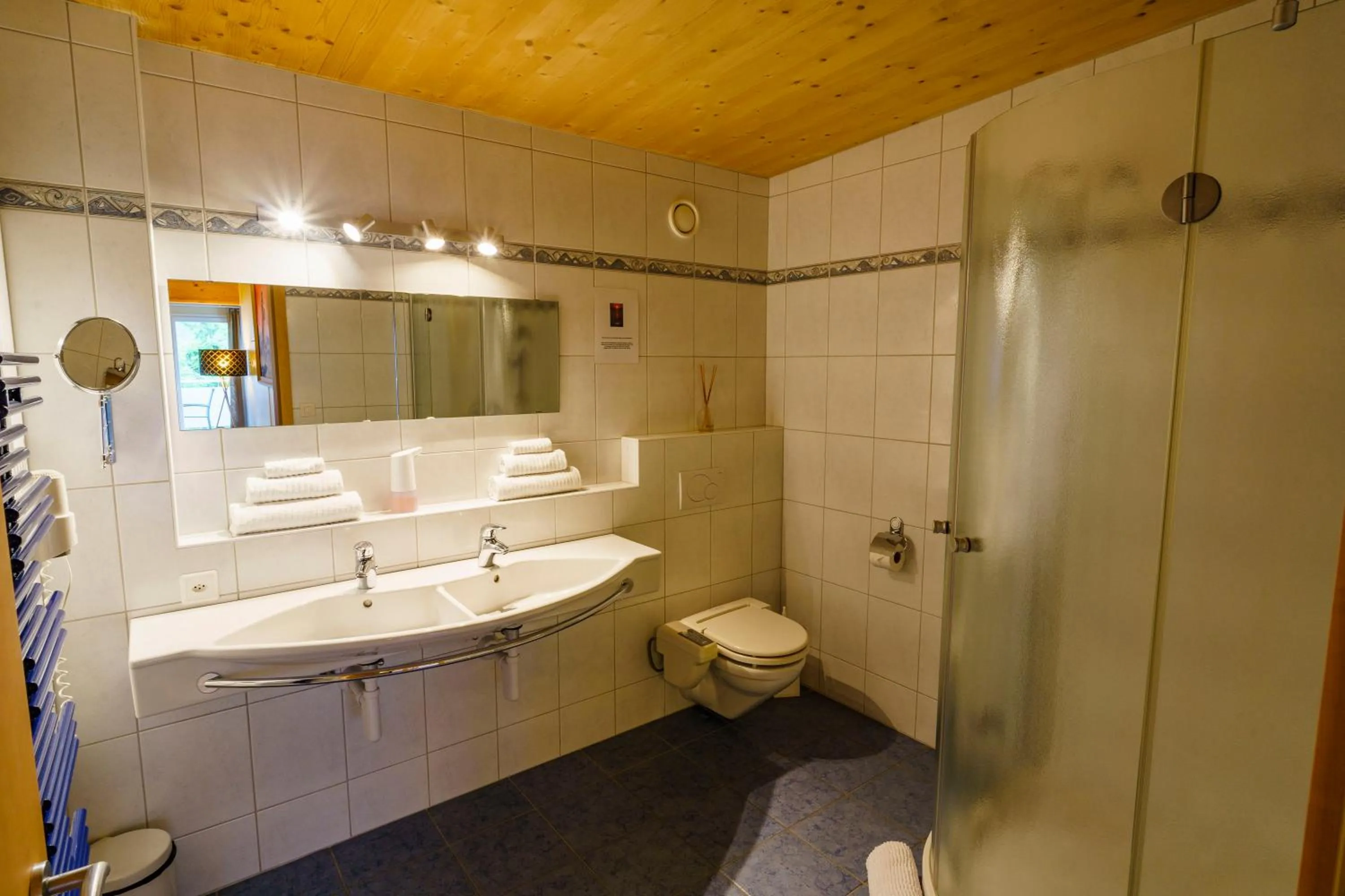 Shower in Seeblick SMART Hotel Rössli