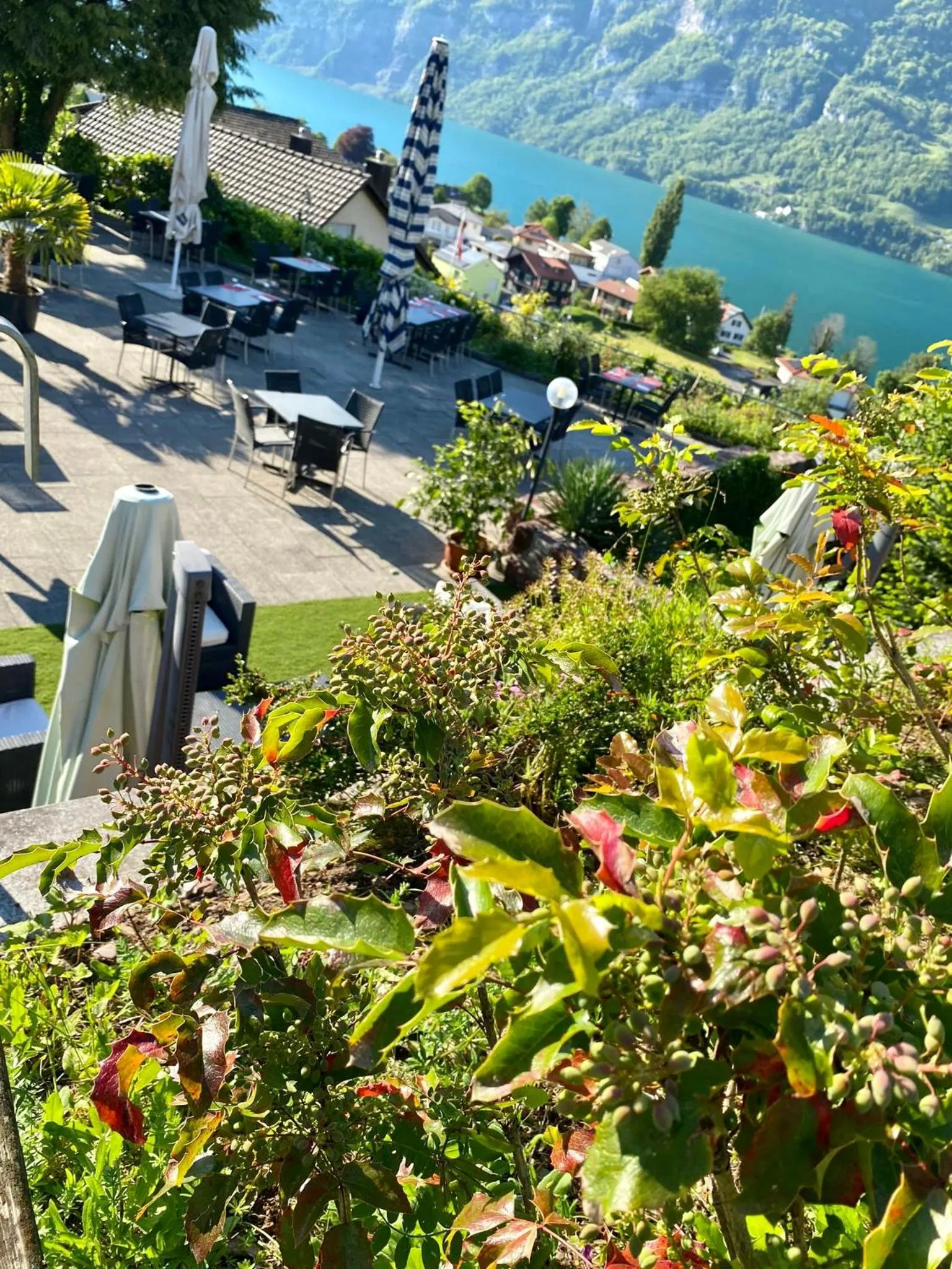 Balcony/Terrace in Seeblick SMART Hotel Rössli