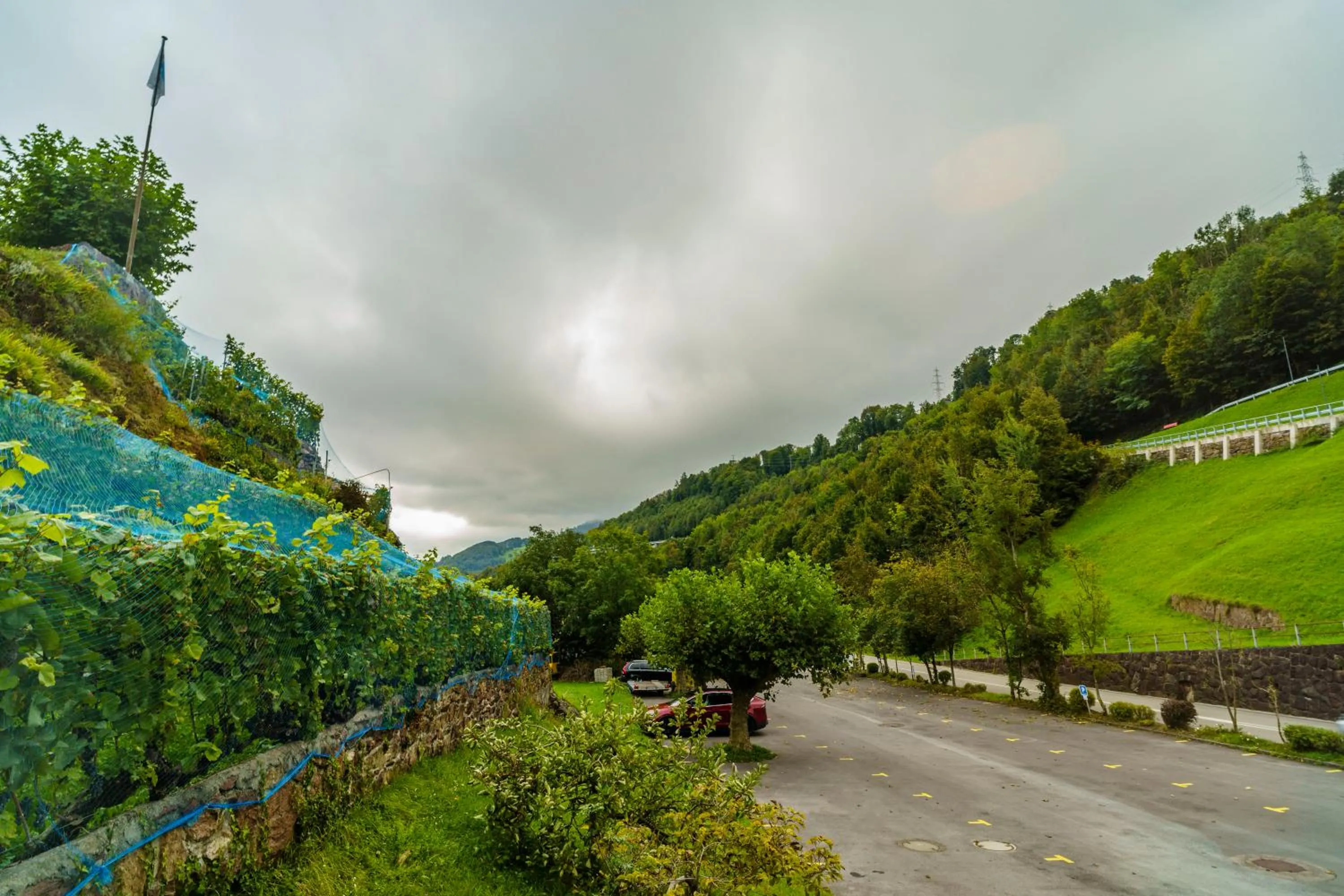 Neighbourhood in Seeblick SMART Hotel Rössli